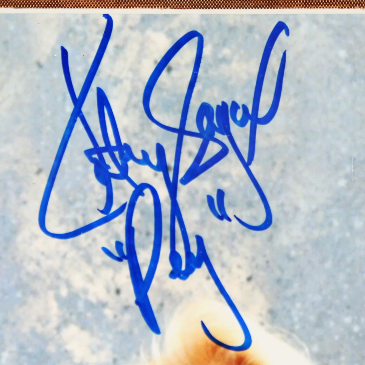 Married With Children Cast Signed Photo 11x14 Display Kate Sagal, Ed O'Neill,..., image 3
