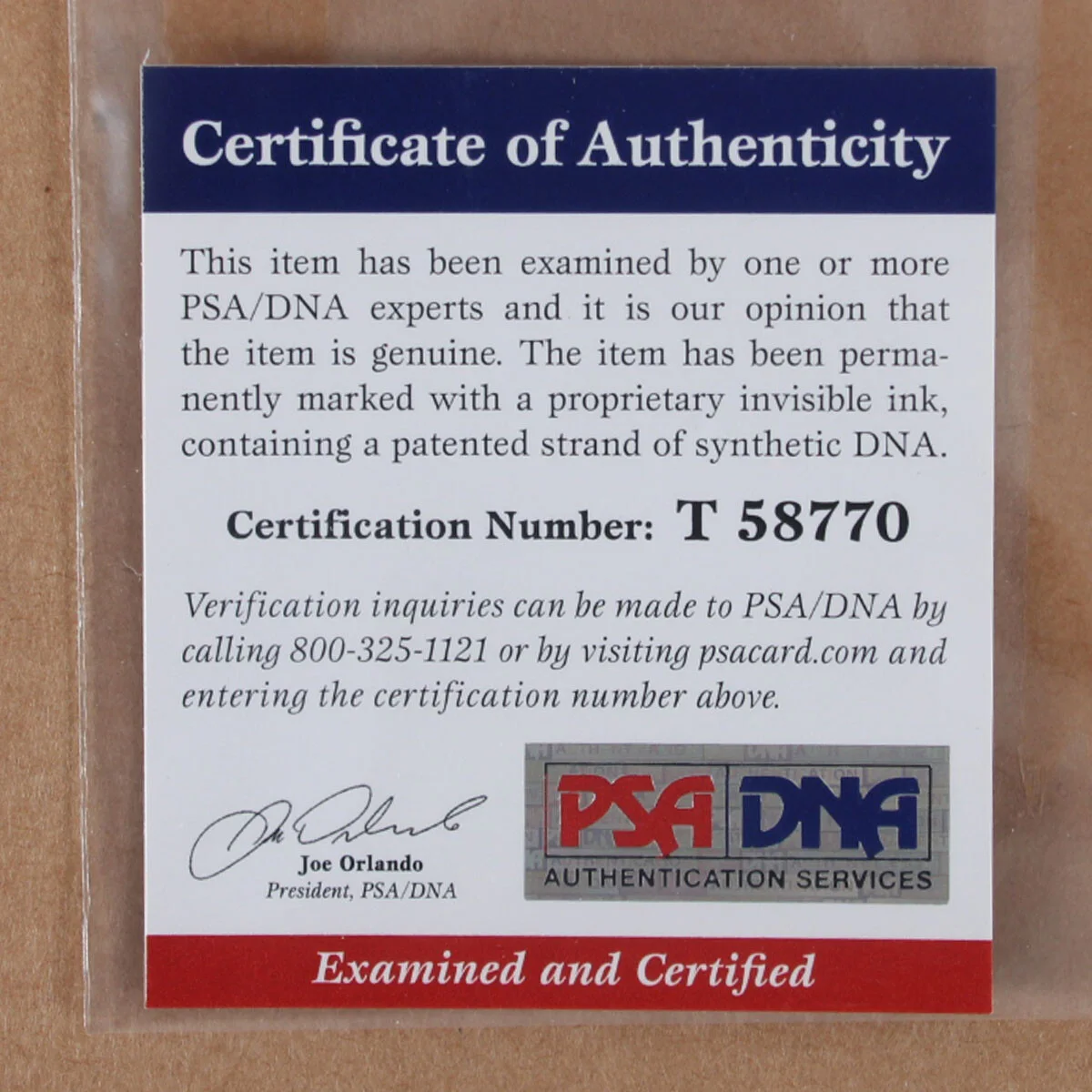Paul Simon & Art Garfunkel Signed Photo Display - COA PSA/DNA & BAS, изображение 5