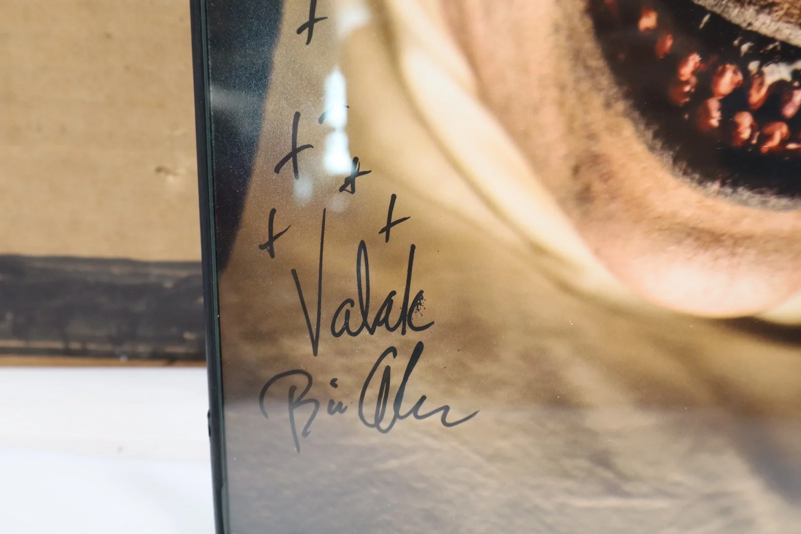 Bonnie Aarons The Nun signed 8x10 photo Valak, image 2