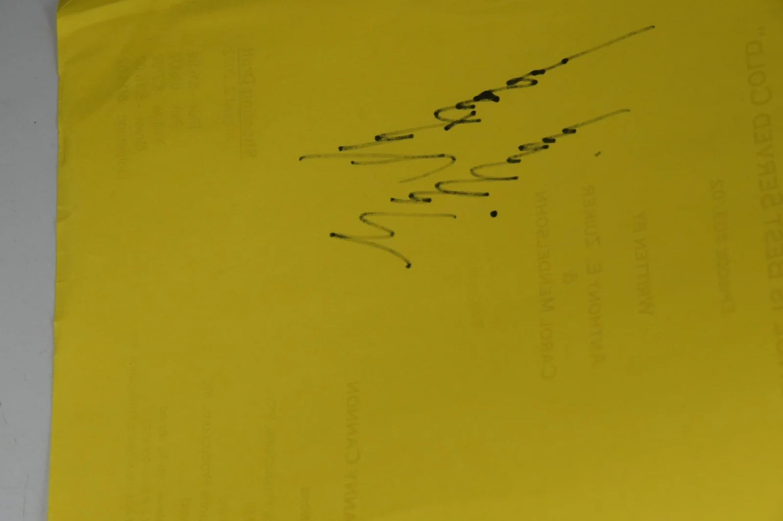 CSI Signed TV Script William Petersen "Revenge is Best Served Cold" CBS 2002, image 4
