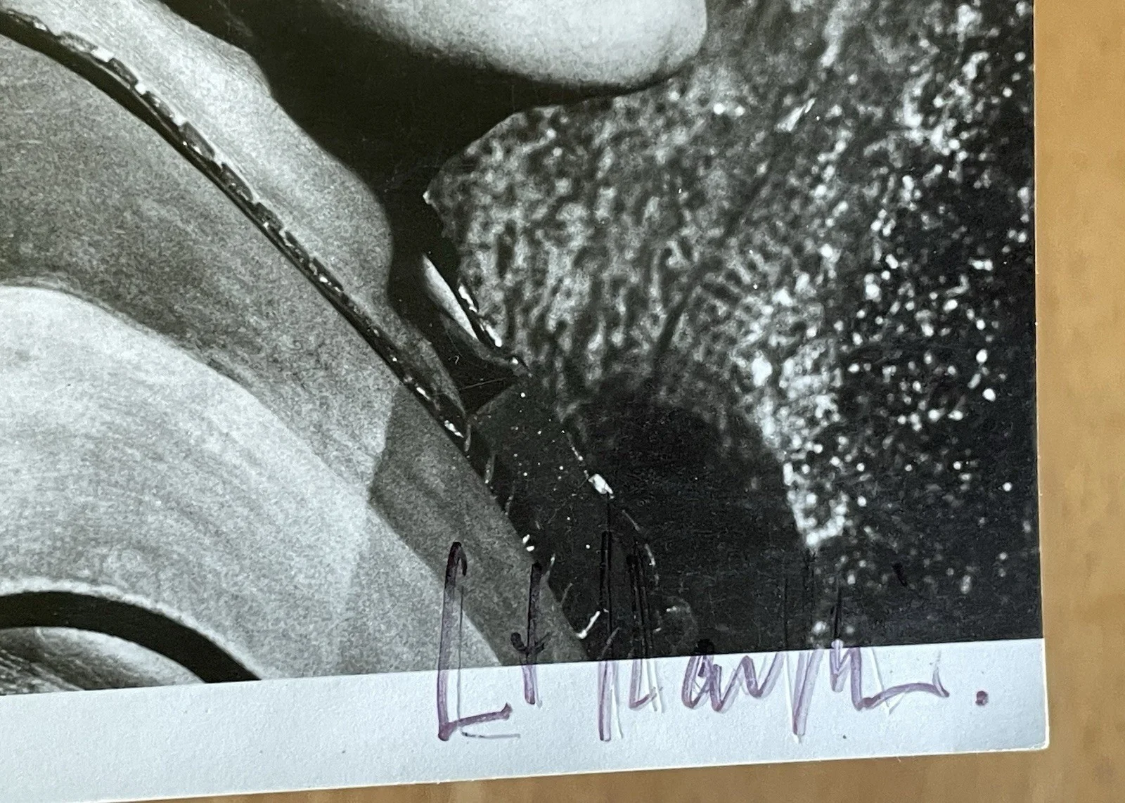 Swiss Opera Tenor Ernst Haefliger Autograph Photo, изображение 3