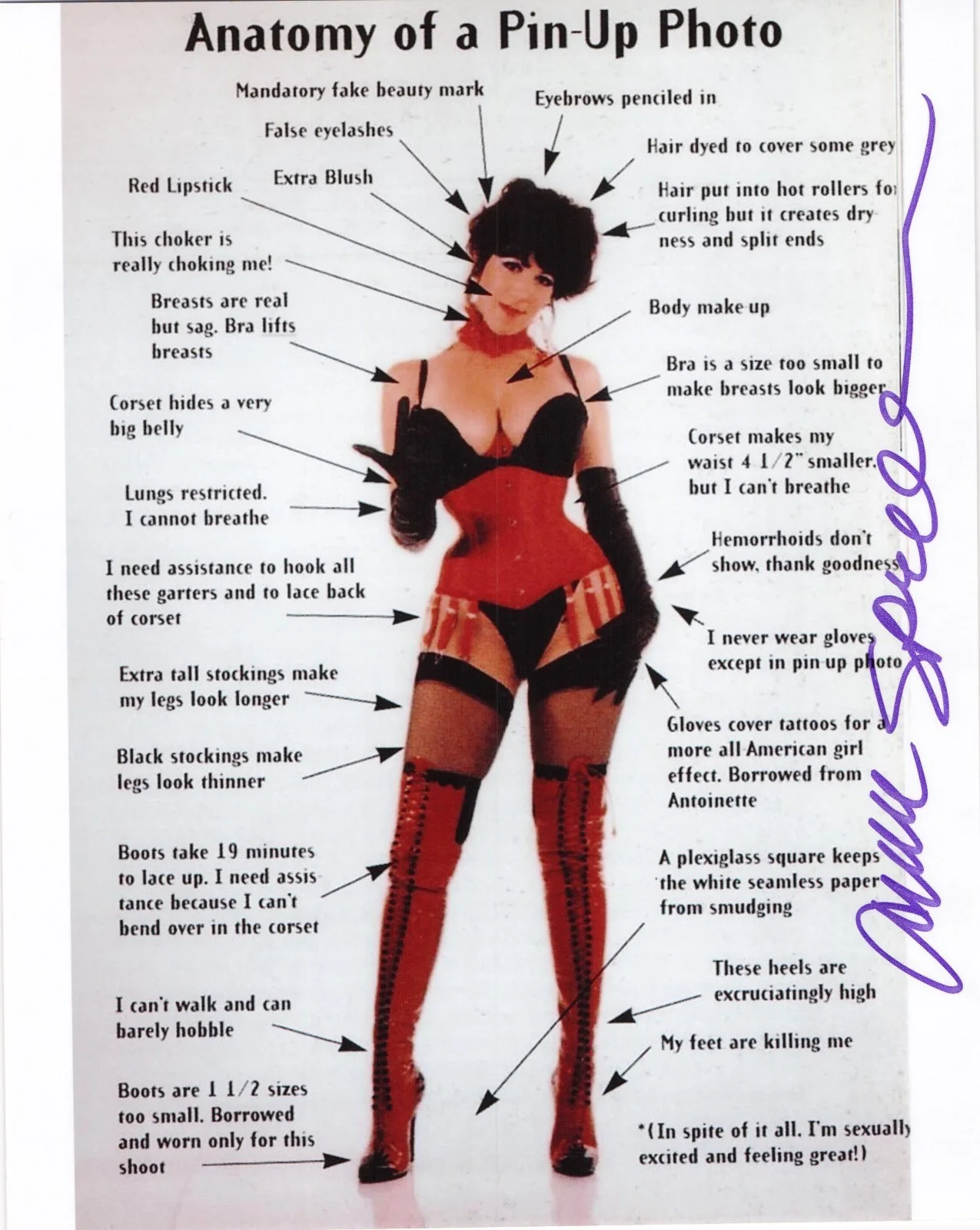 Annie Sprinkle — Annie Sprinkle signed autographed 8x10 photo Adult Porn Star Sexologist
