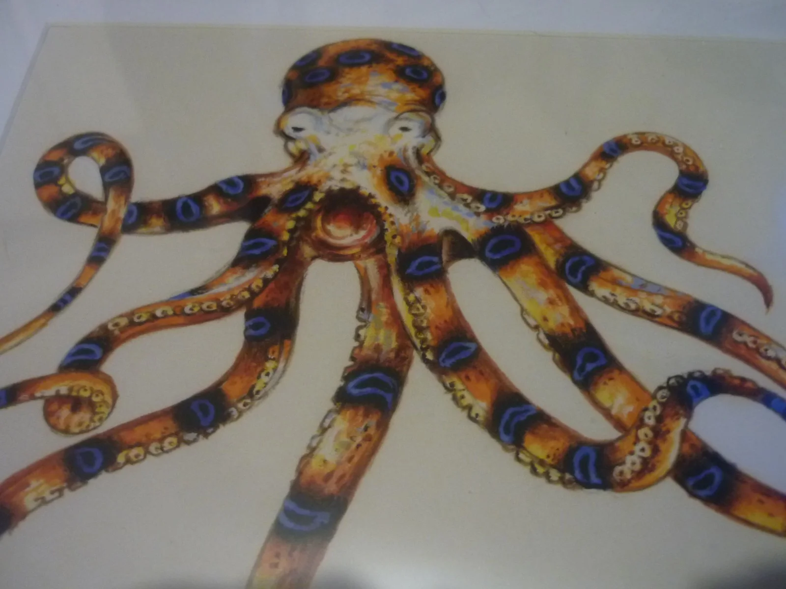 a4 mounted 007 james bond octopussy watercolour tempory tattoo artwork, image 3