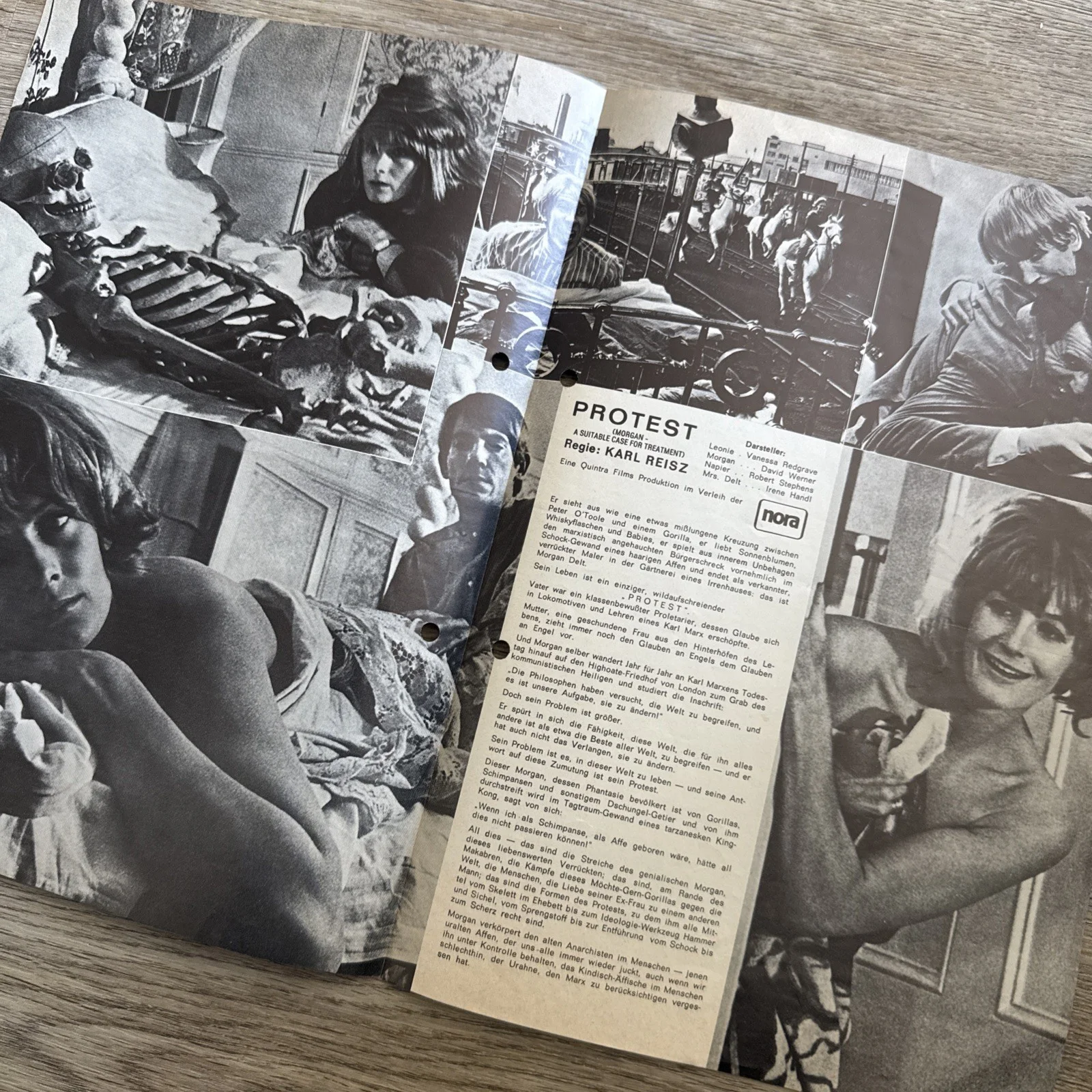 Morgan - A Suitable Case For Treatment German Cinema Programme Vanessa Redgrave, image 2