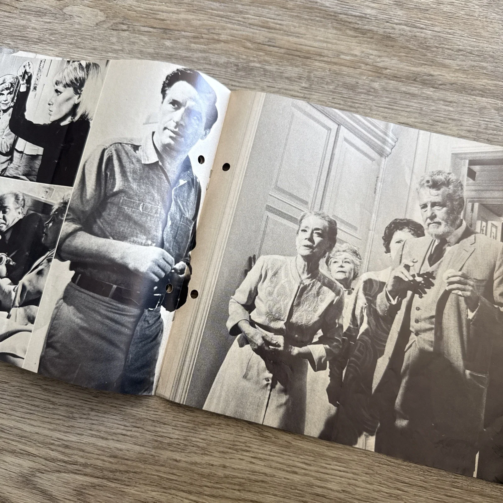 Rare Rosemary’s Baby German Cinema Programme Roman Polanski Mia Farrow Ira Levin, изображение 4