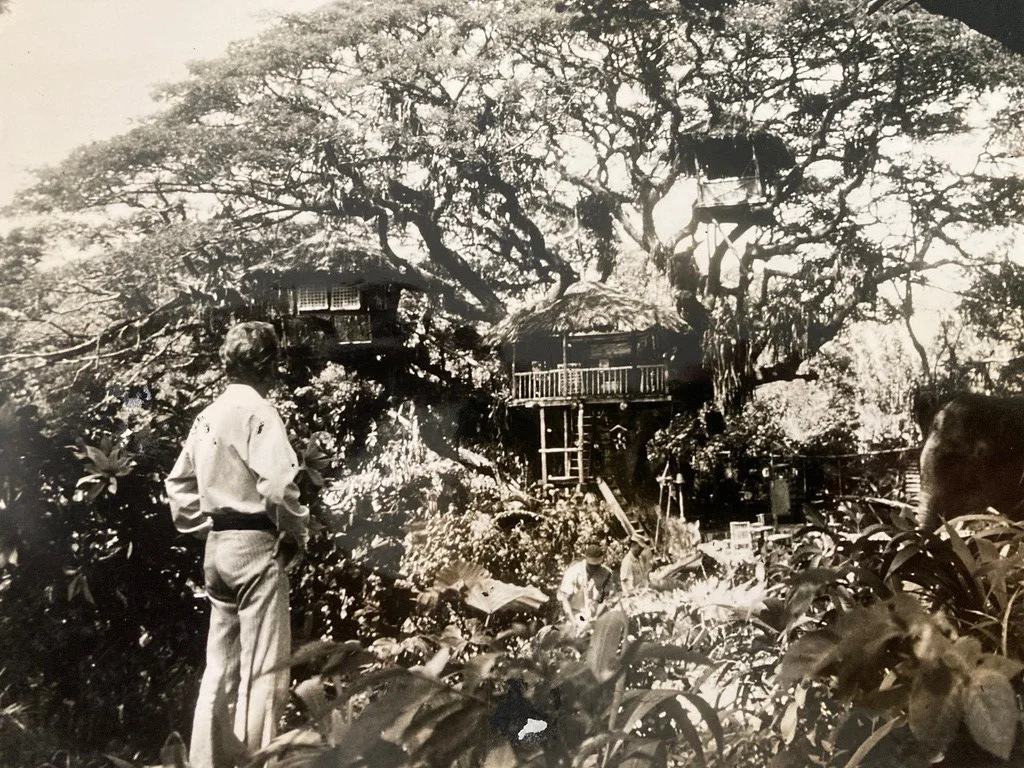 Vintage large film photo scene 1960 John Mills Swiss Family Robinson tree house, изображение 2