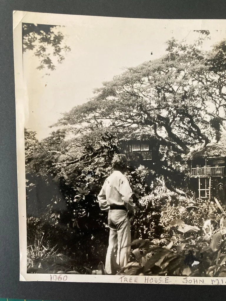 Vintage large film photo scene 1960 John Mills Swiss Family Robinson tree house, изображение 3