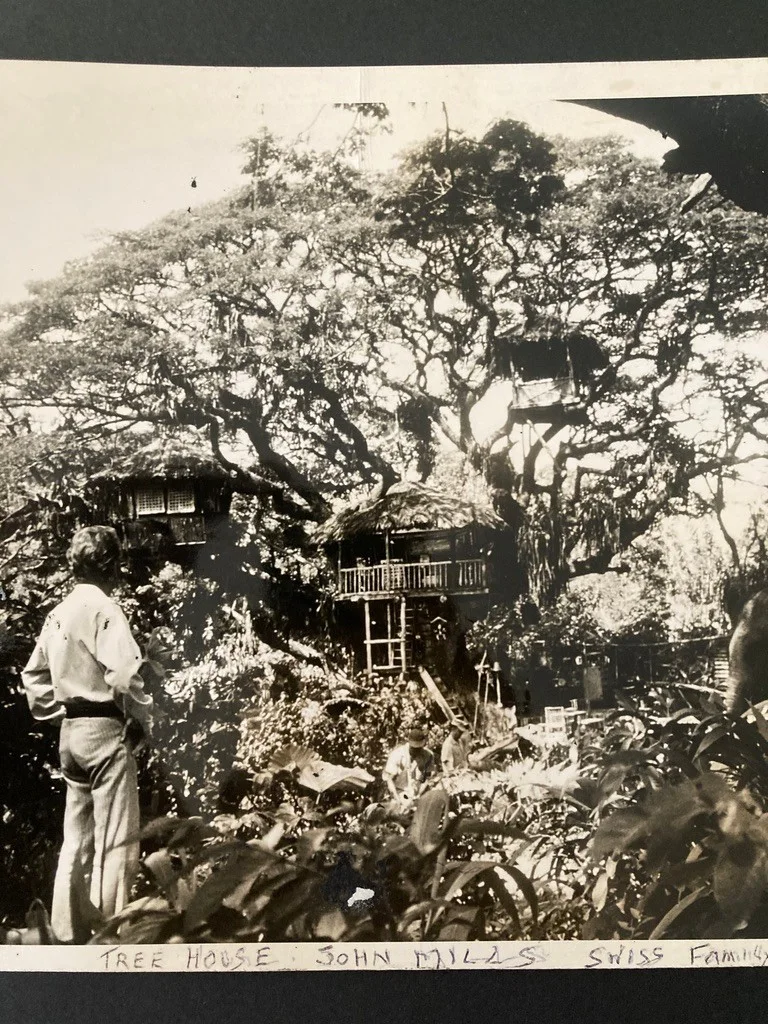 Vintage large film photo scene 1960 John Mills Swiss Family Robinson tree house, изображение 4
