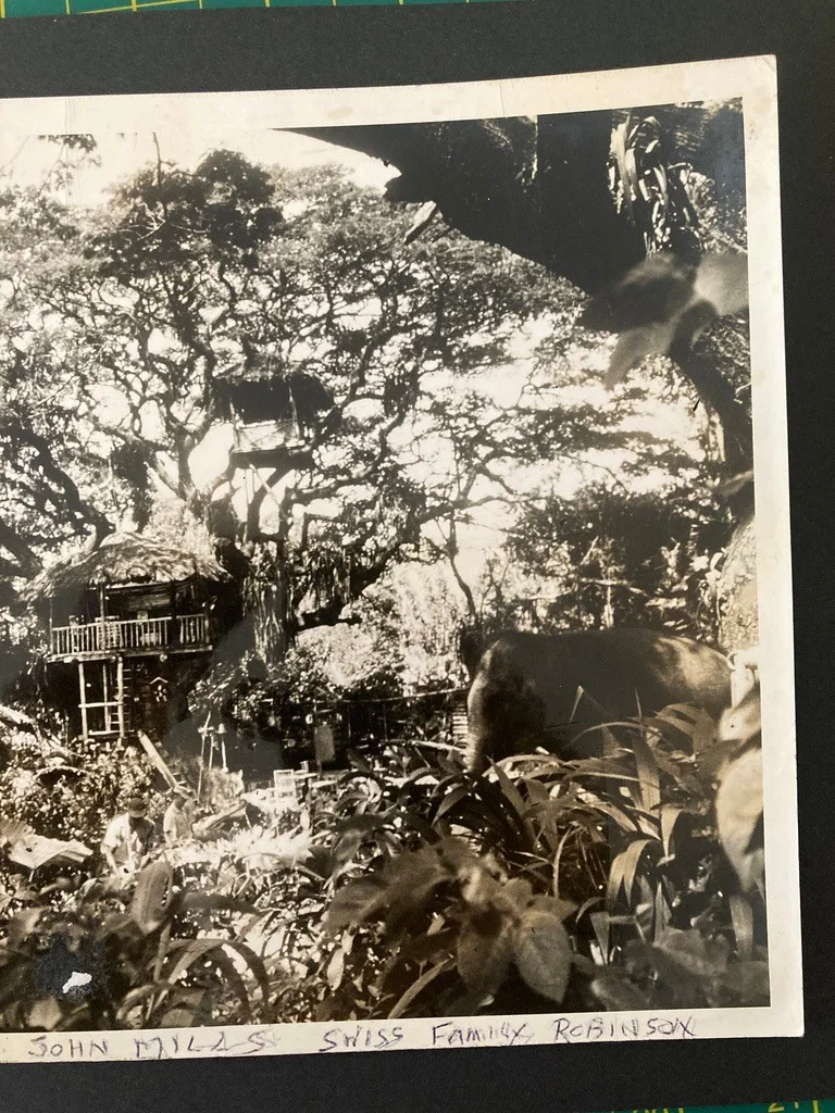Vintage large film photo scene 1960 John Mills Swiss Family Robinson tree house, изображение 5