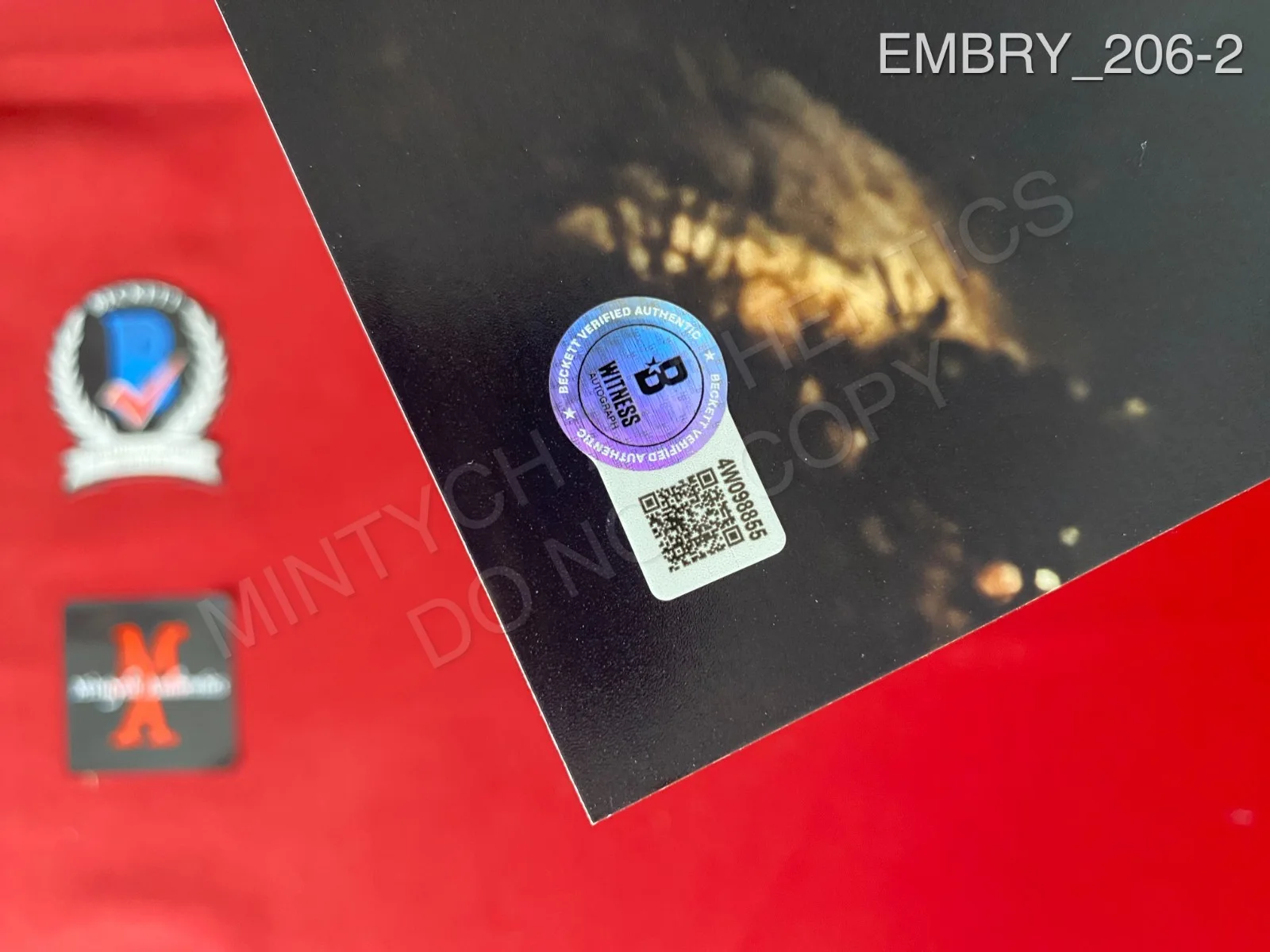 Ethan Embry — Ethan Embry autographed signed 11x14 photo Scream 7 Marco Beckett COA, изображение 2