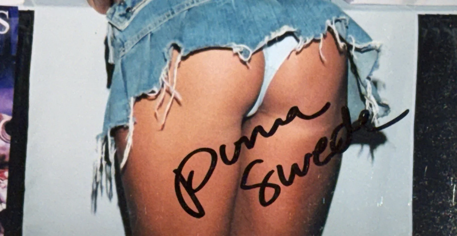 Puma Swede JSA COA Signed 8x10 PHOTO Sexy ADULT STAR AUTOGRAPH Naughty Candid, изображение 2