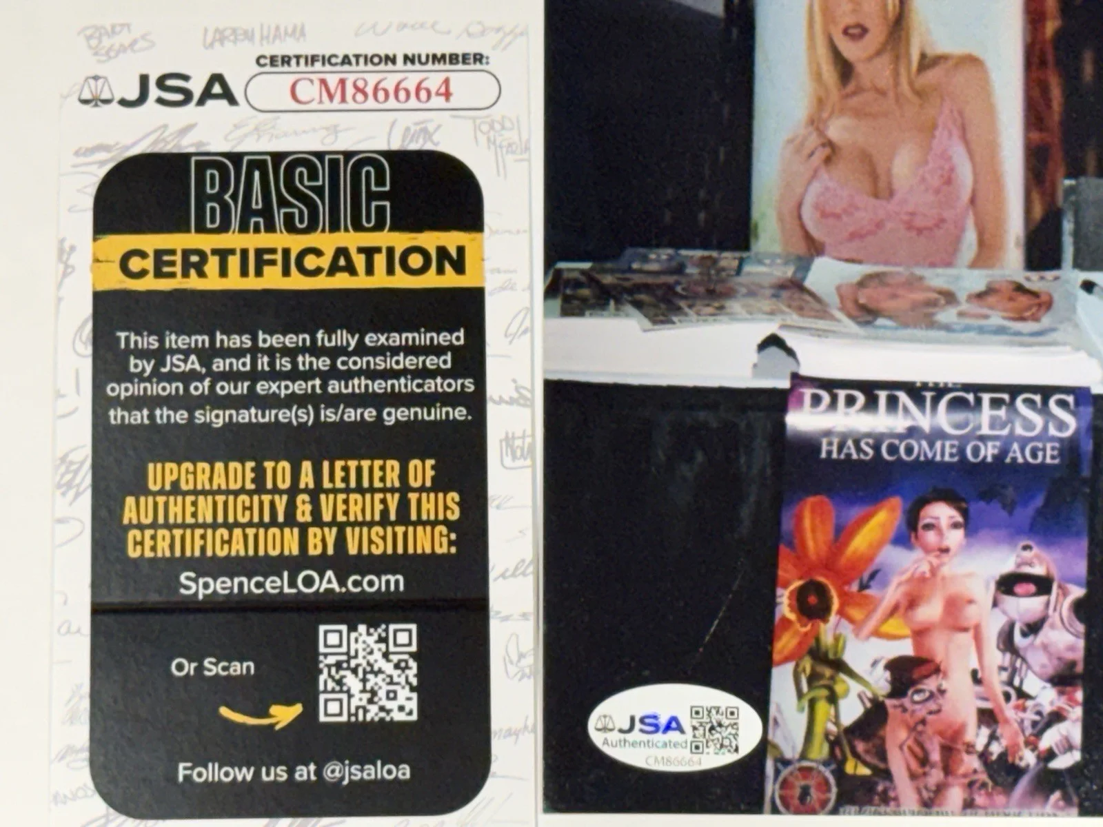 Puma Swede JSA COA Signed 8x10 PHOTO Sexy ADULT STAR AUTOGRAPH Naughty Candid, изображение 3