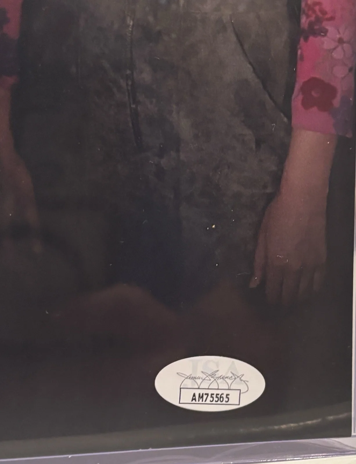 Summer Glau — Summer Glau Autograph 11x17 Poster Firefly TV Auto JSA COA Serenity Cult Classic, image 4