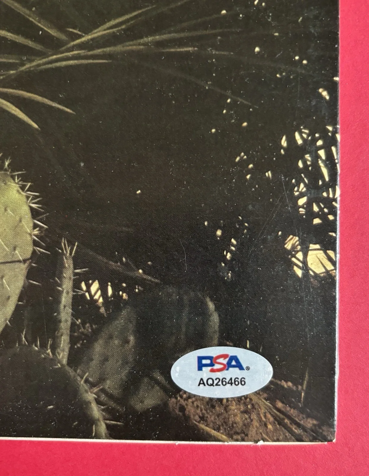 JIM MESSINA Signed OASIS LP Vinyl Album PSA DNA COA Kenny Loggins And, изображение 5