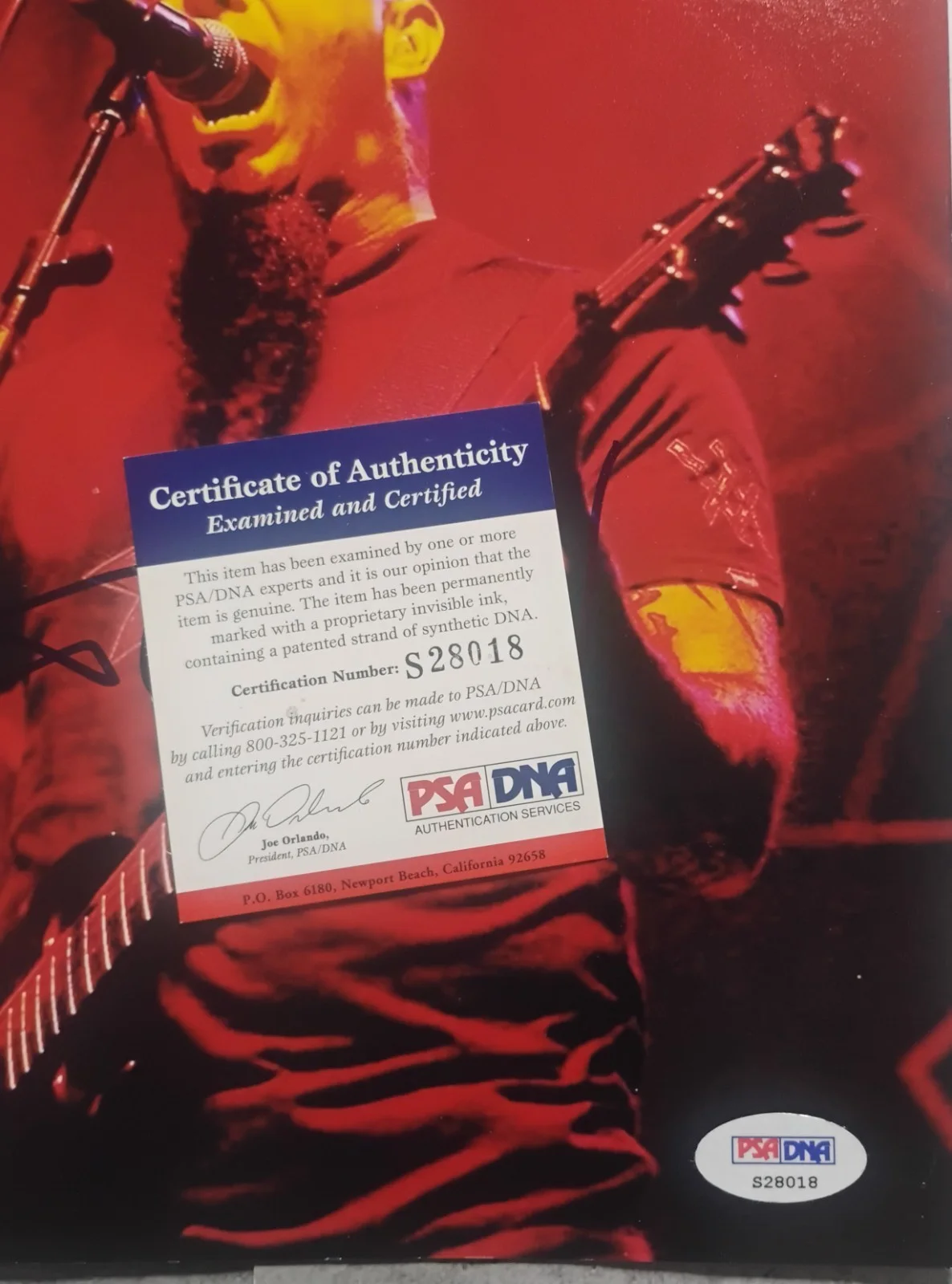Scott Ian Hand Signed Autograph 8x10 Photo PSA COA Anthrax NO US TARIFFS, image 4