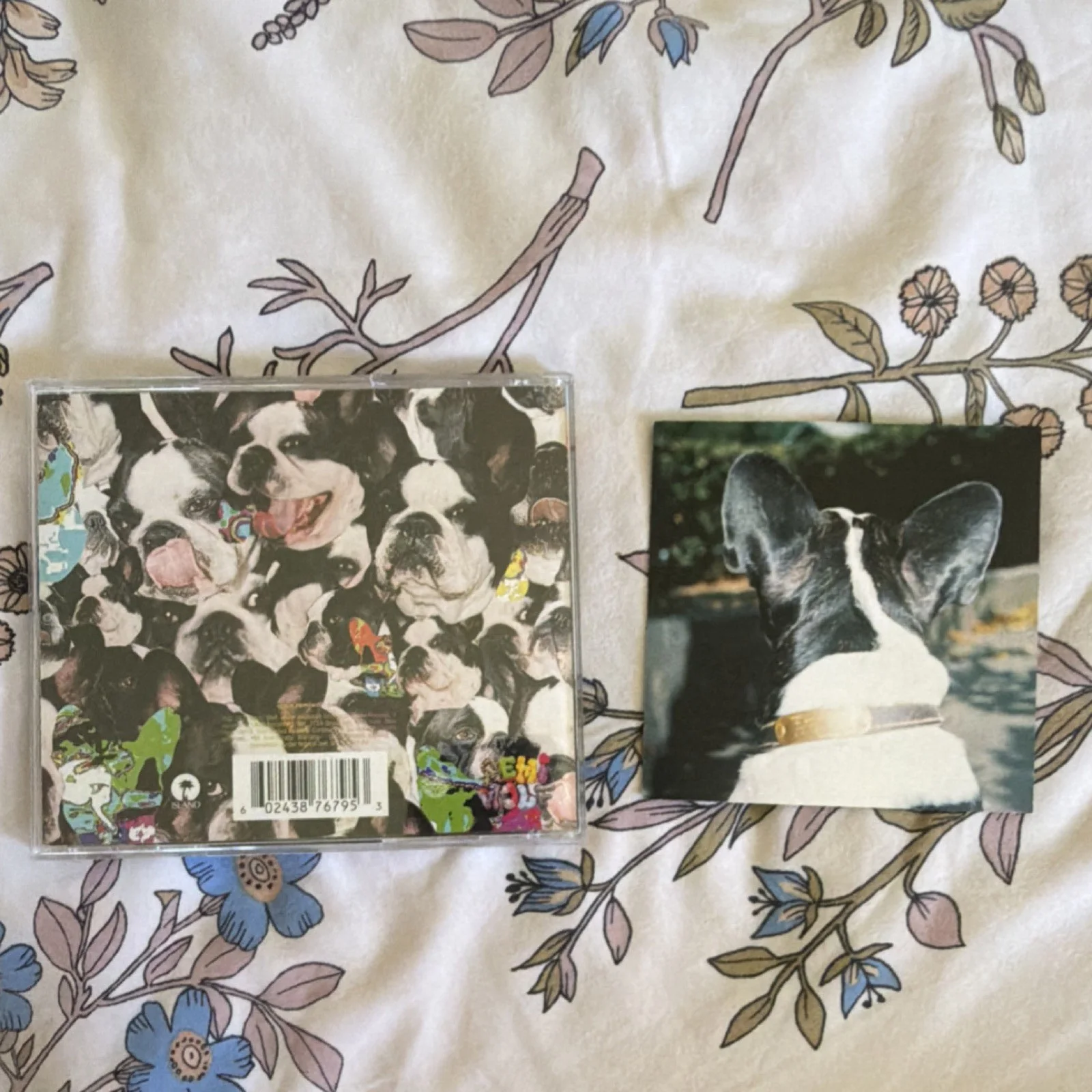 Remi Wolf Juno Signed CD & Booklet Original Music Collectible, image 2
