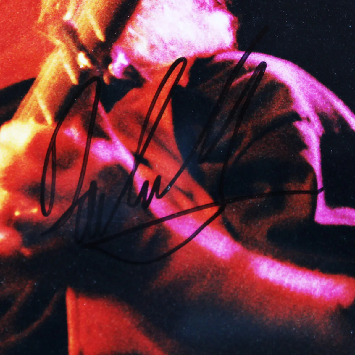 David Crosby Signed Photo 11x14 Display - COA BAS, image 2