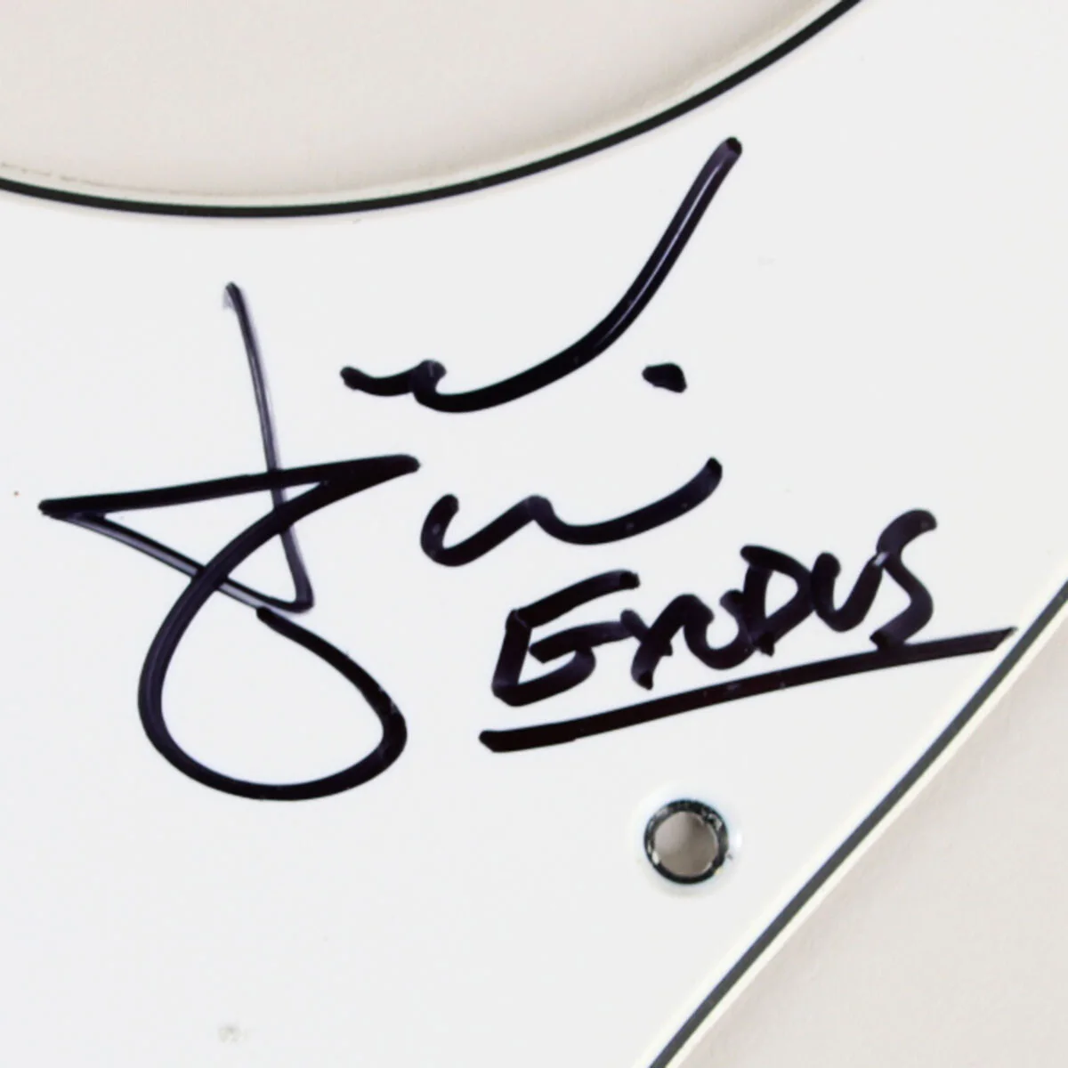 Exodus & Anthrax Band Signed Pickguard - COA JSA, image 2