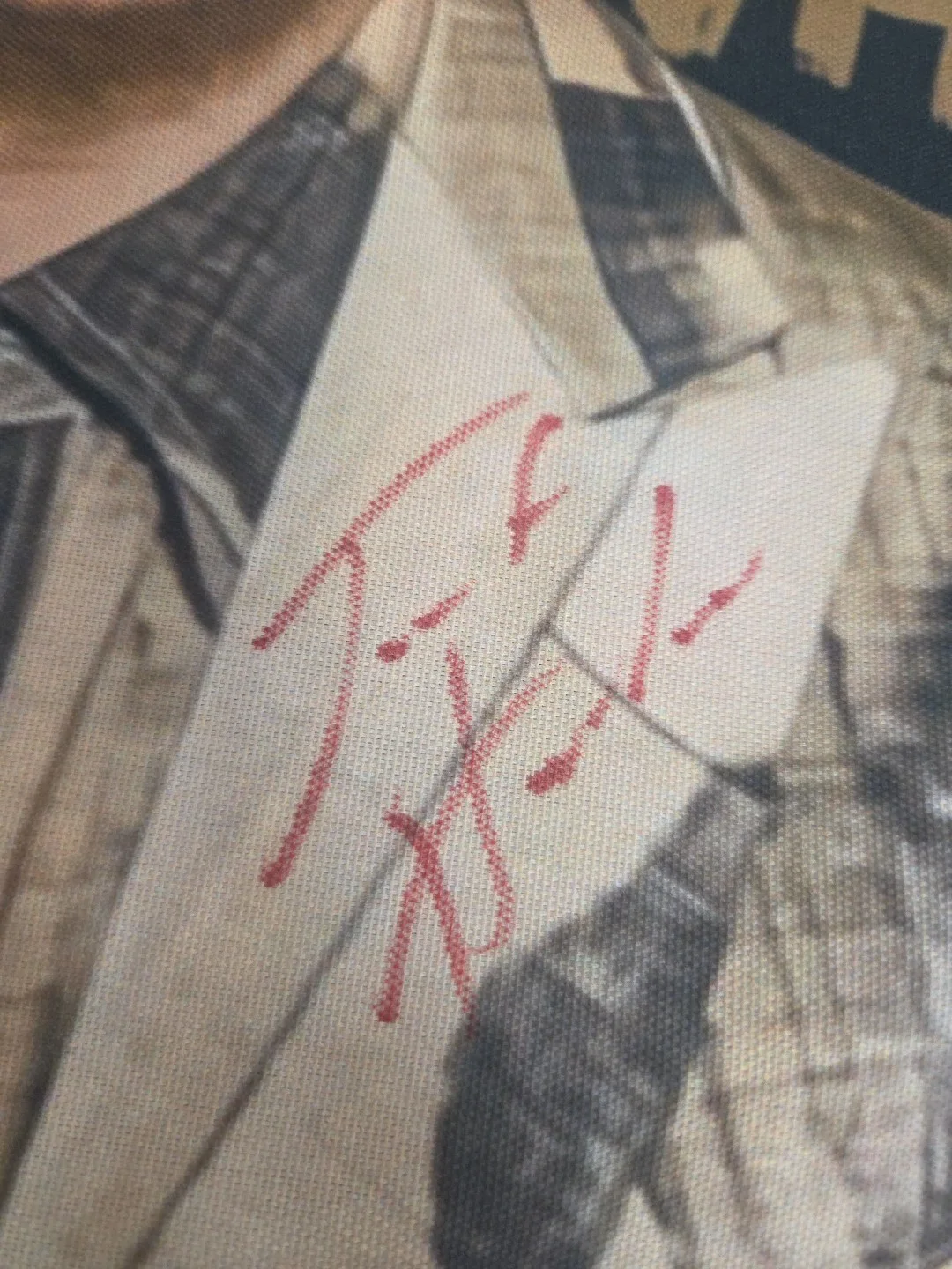 Rare Double Twice Jack Harlow Signed Autographed Pillow Case Cover 19x19, изображение 5