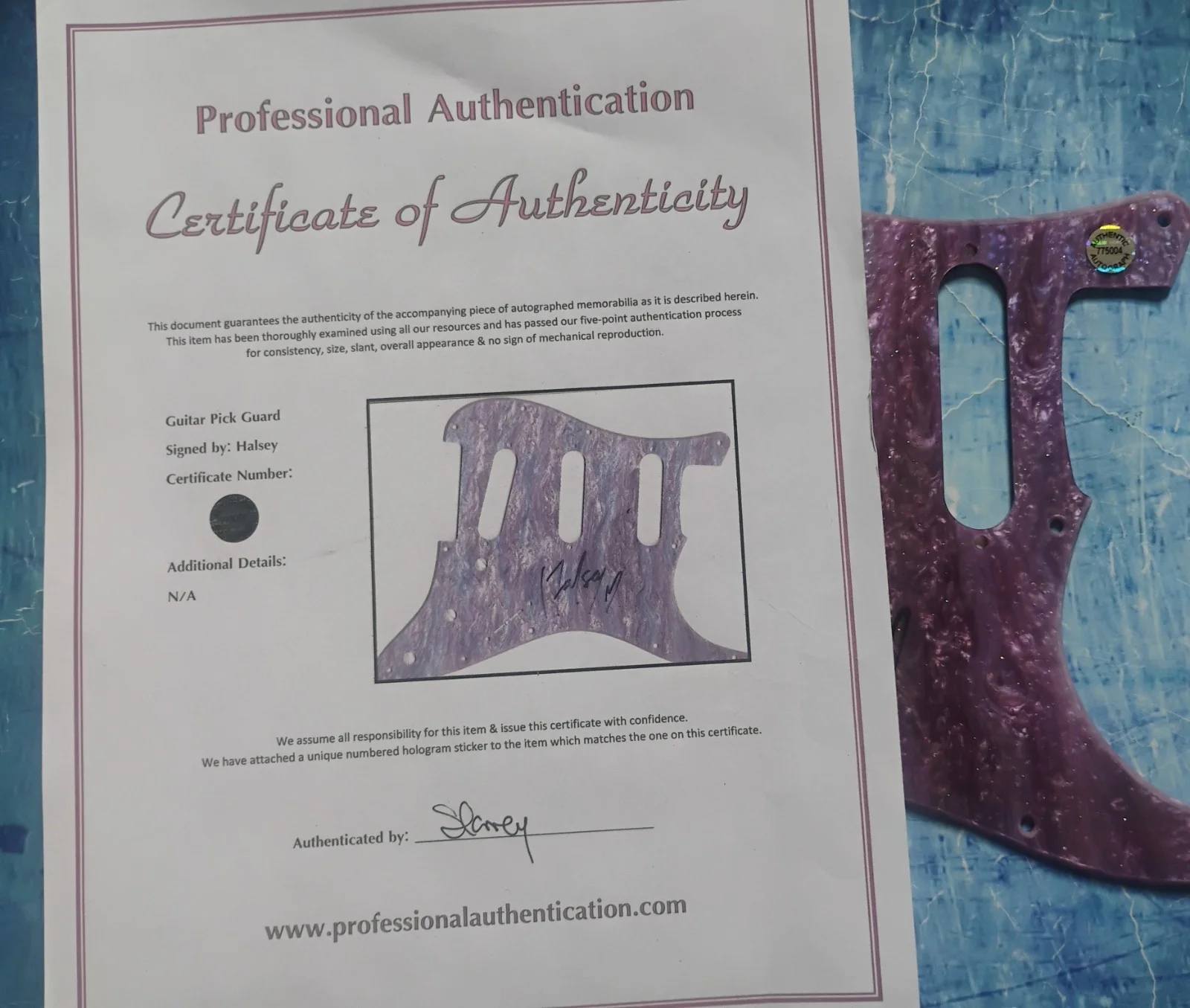 Halsey Hand Signed Guitar Pick Guard COA - NO US TARIFFS, image 4
