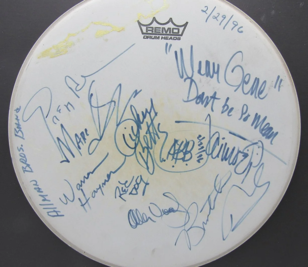 Allman Brothers Signed 14" Drumhead Gregg Allman Dickey Betts +6 Autos PSA LOA, изображение 2