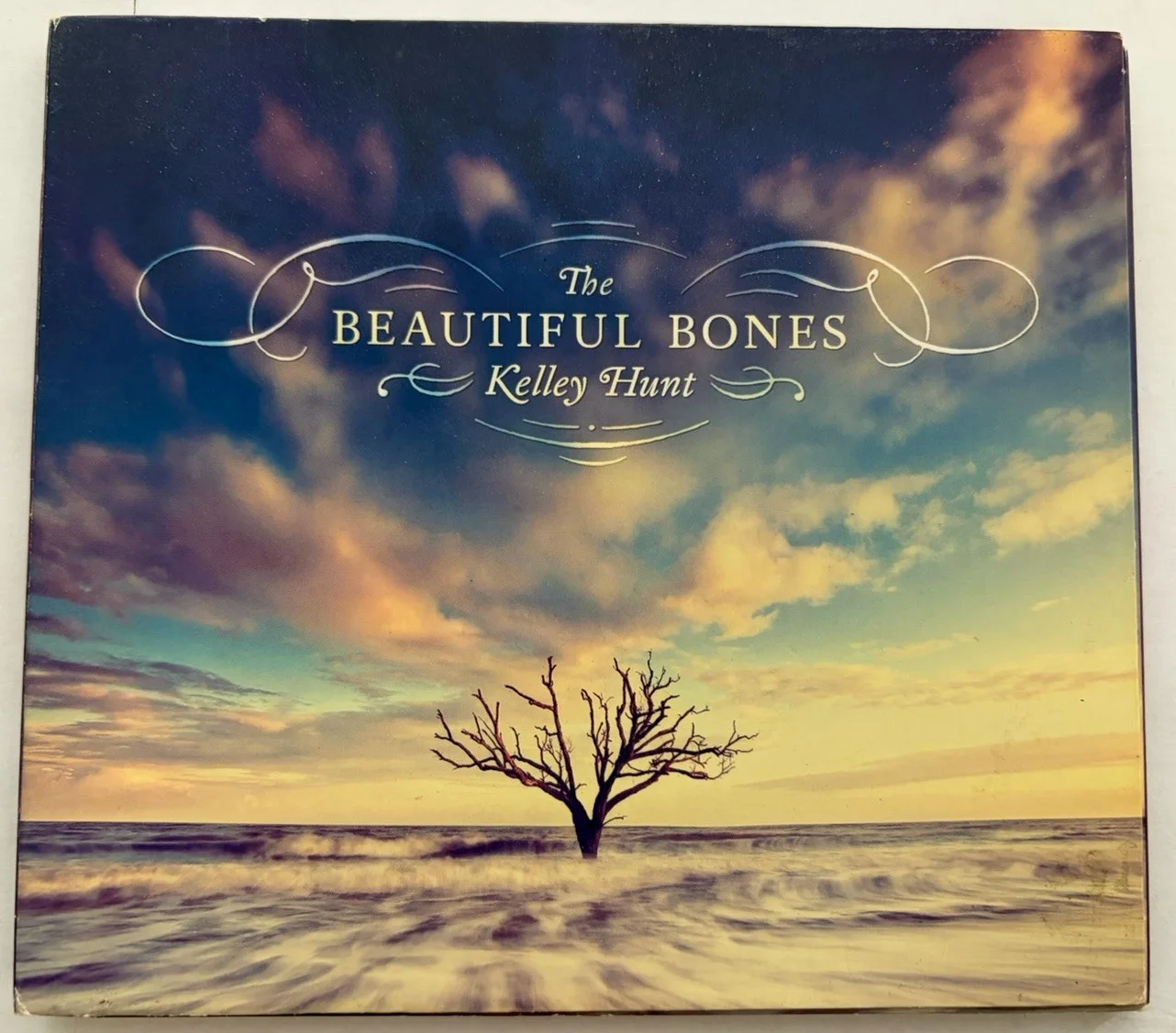 Kelley Hunt The Beautiful Bones Signed Autographed CD 2014 88 Records Very Good, image 2
