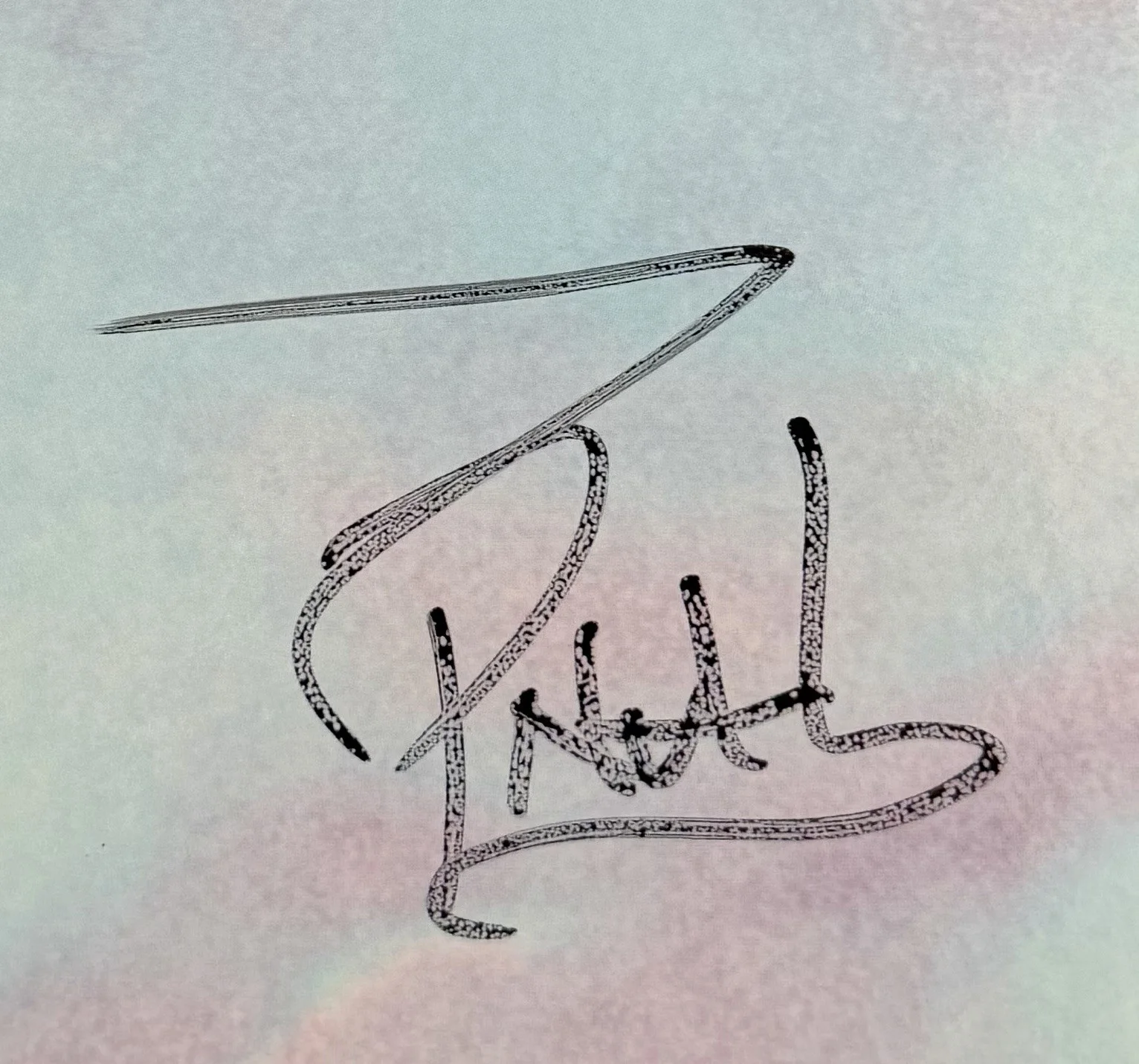 311 BAND SIGNED 30TH ANNIVERSARY VINYL P-NUT + CHAD + NICK HEXUM w/JSA COA!, image 4