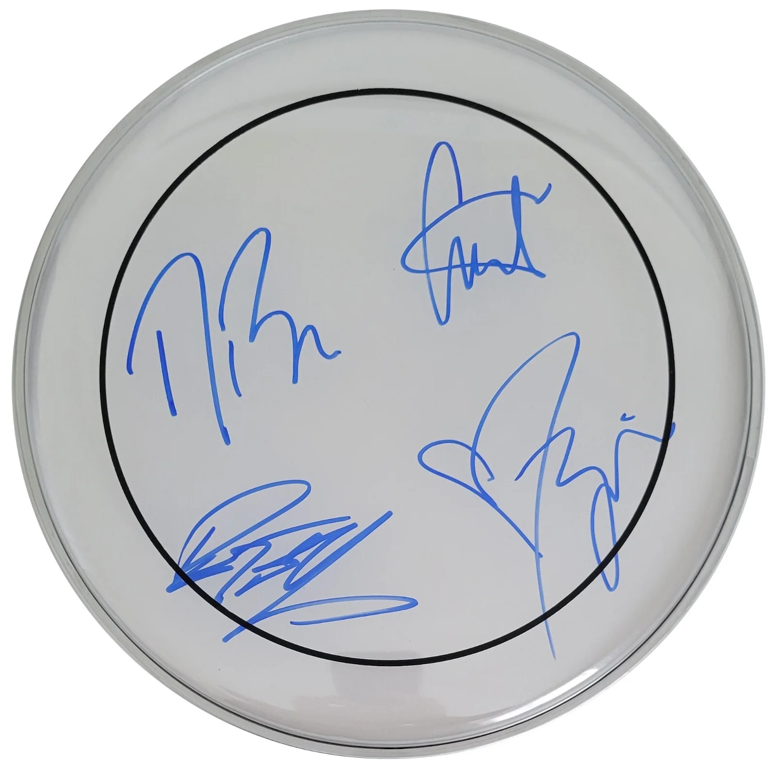 The Dandy Warhols Band Signed Drumhead COA Exact Proof Autographed, image 2