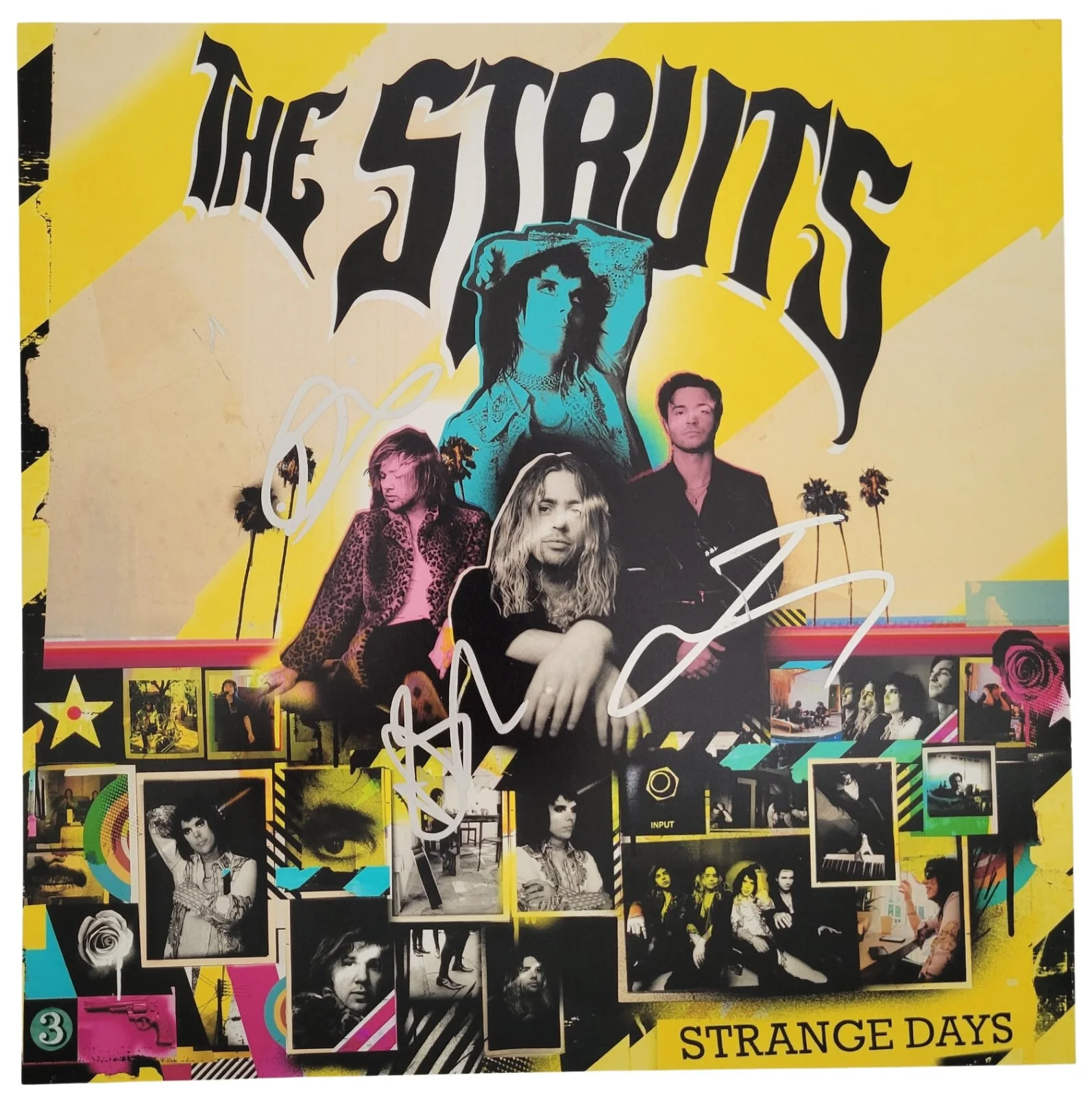 The Struts Band Signed 12x12 Strange Days Album Photo Proof COA Autographed, изображение 2