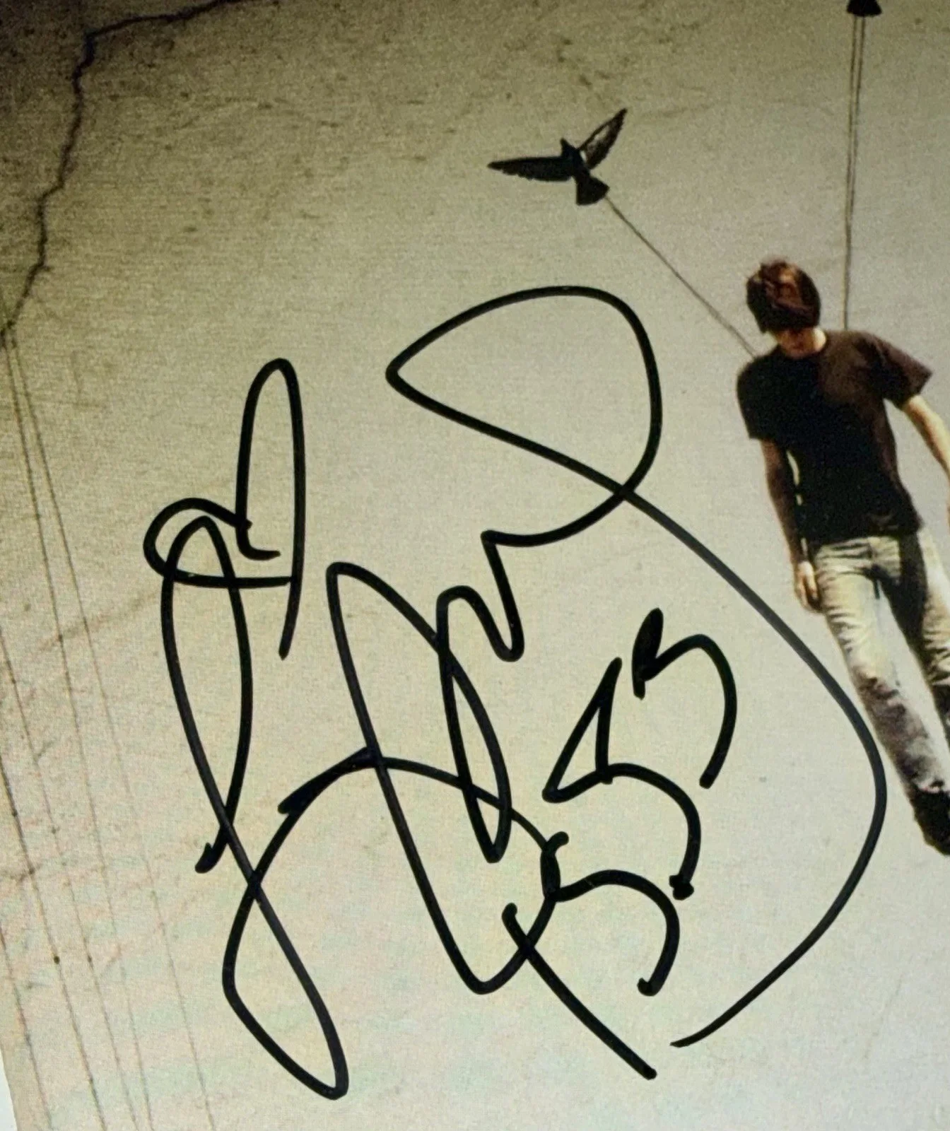 Flyleaf Self-Titled CD SIGNED by Lacey Sturm & Sameer Bhattacharya – 2006 - VG+, image 2