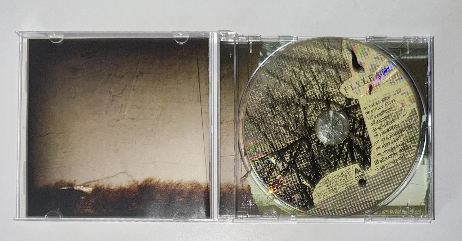 Flyleaf Self-Titled CD SIGNED by Lacey Sturm & Sameer Bhattacharya – 2006 - VG+, image 5