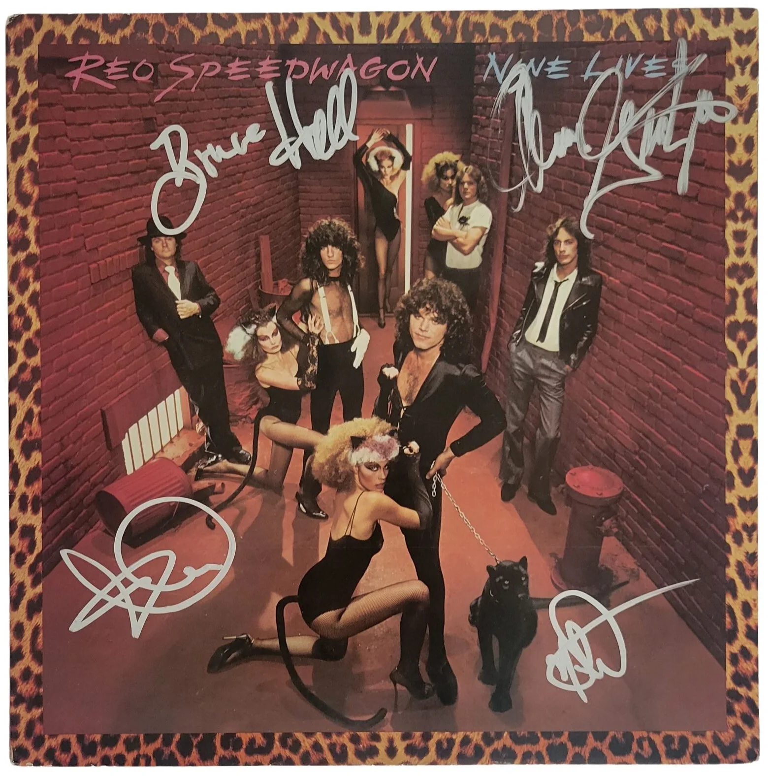 REO Speedwagon Signed Nine Lives Album COA Exact proof Autographed Vinyl Record, изображение 3