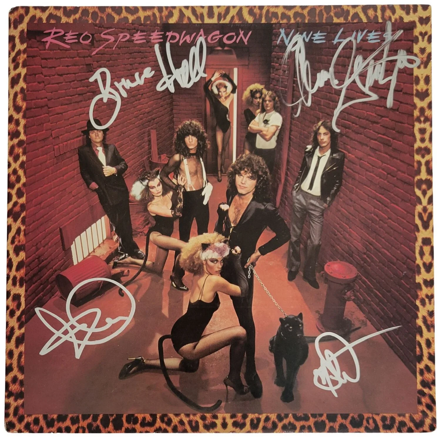 REO Speedwagon Signed Nine Lives Album COA Exact proof Autographed Vinyl Record, изображение 5