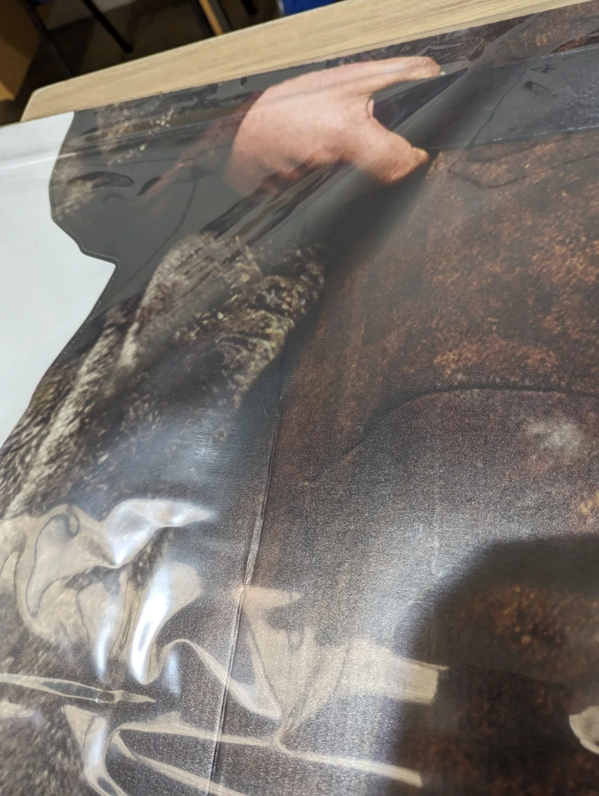 Harry Potter Themed Cardboard Cutout Pack of 2 Standees *Damaged* Draco & Hagrid, изображение 5