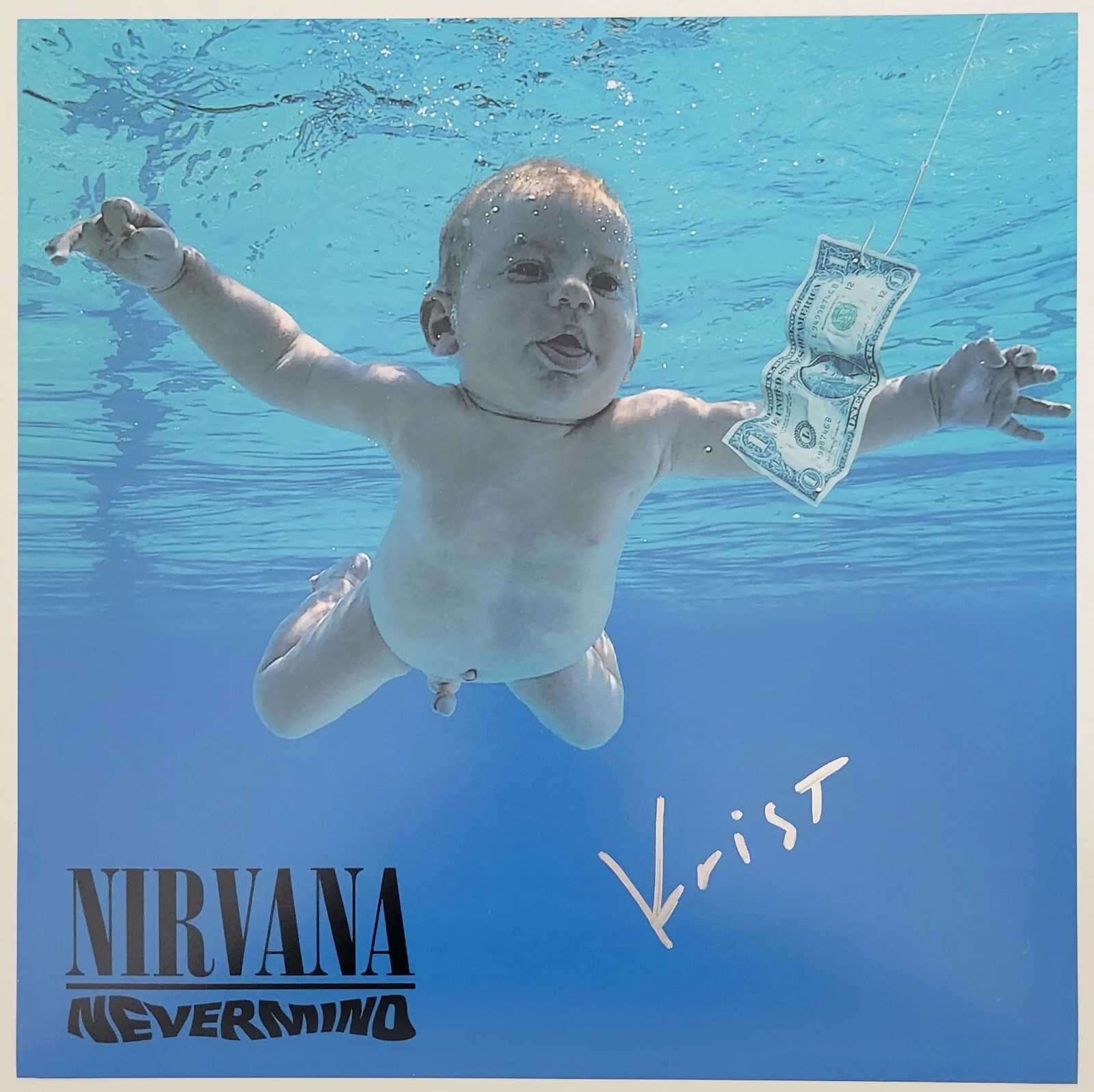 Krist Novoselic signed Nirvana Nevermind 12x12 album photo COA proof autographed, изображение 2