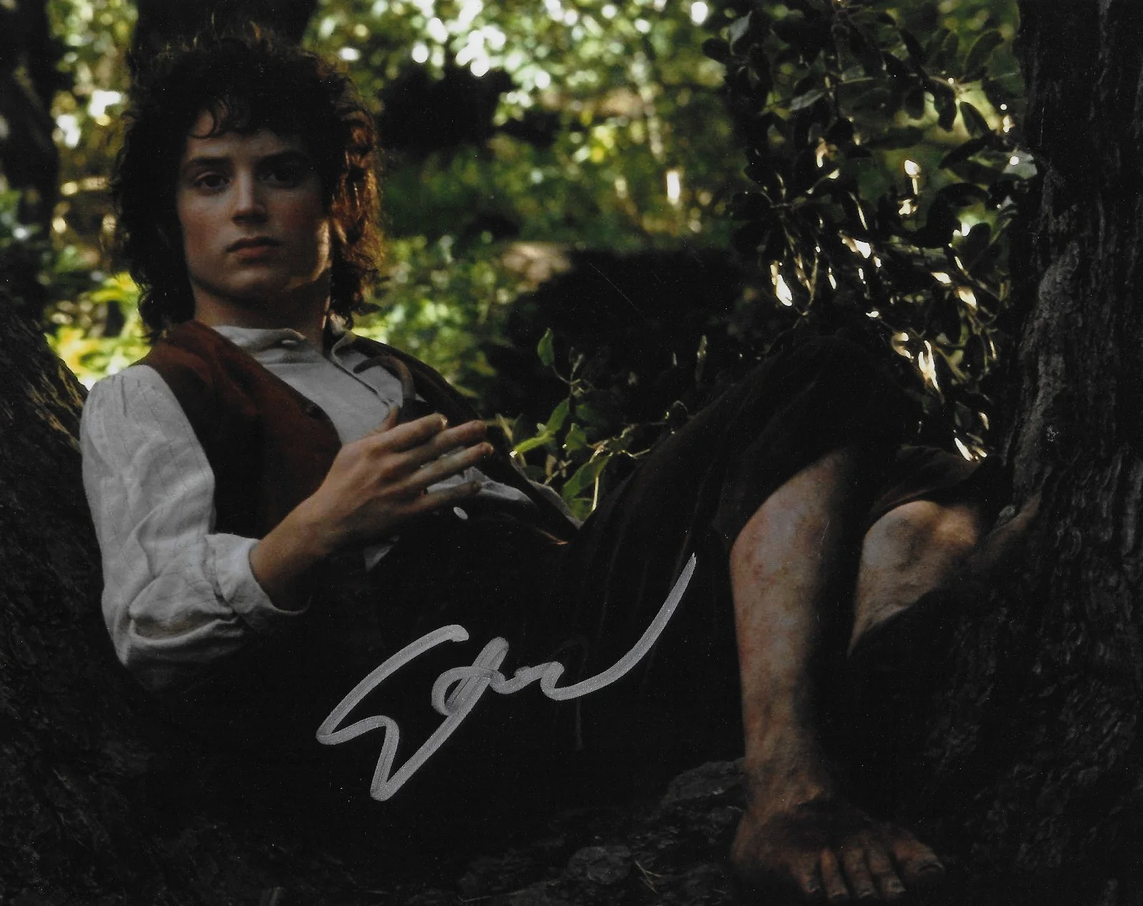 Elijah Wood — Elijah Wood Signed Lord Of The Rings 8x10 Photo Proof Autographed Frodo Baggins-, изображение 2