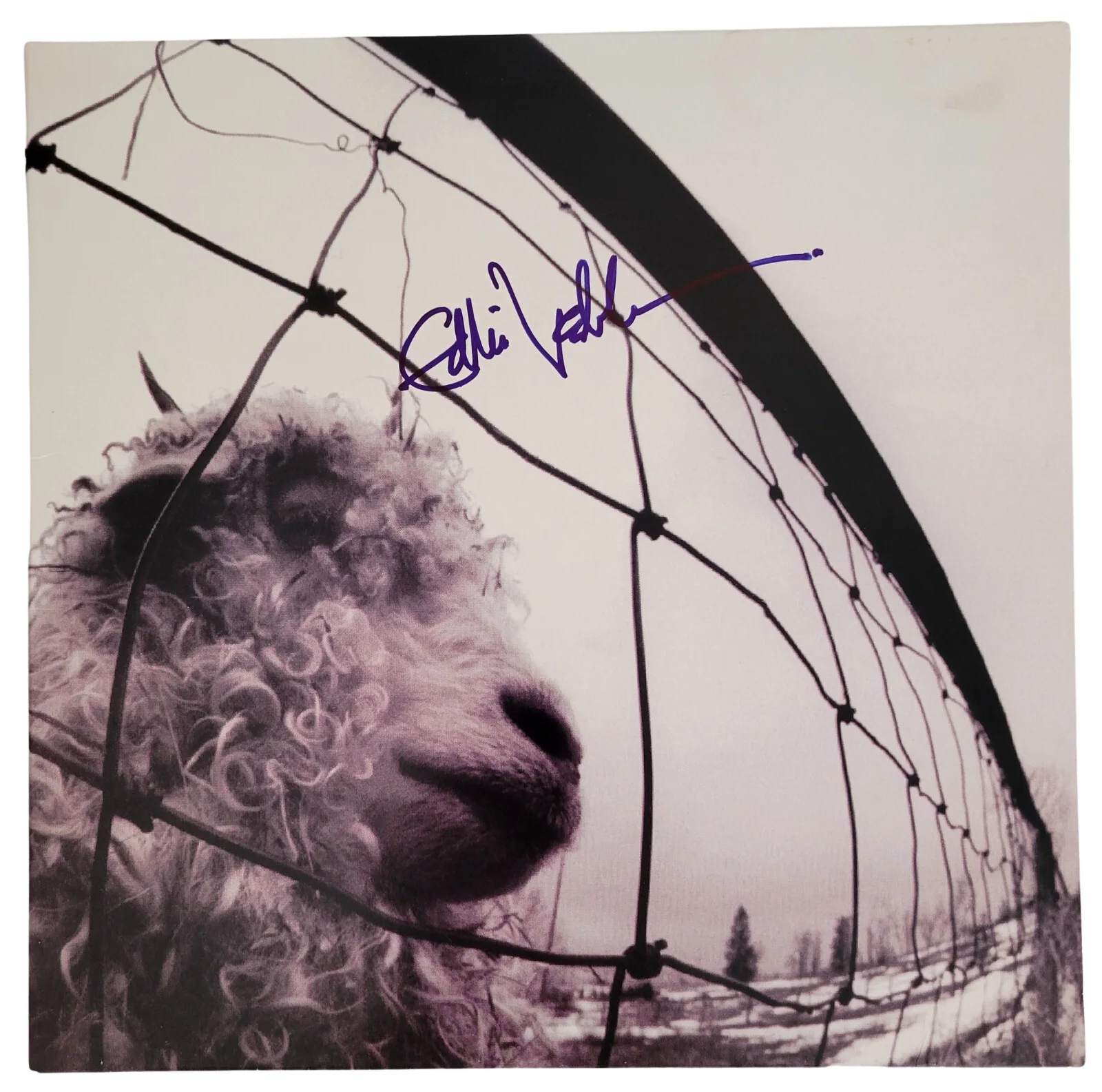 Eddie Vedder signed Pearl Jam Vs. album COA proof autograph vinyl record Beckett, изображение 3