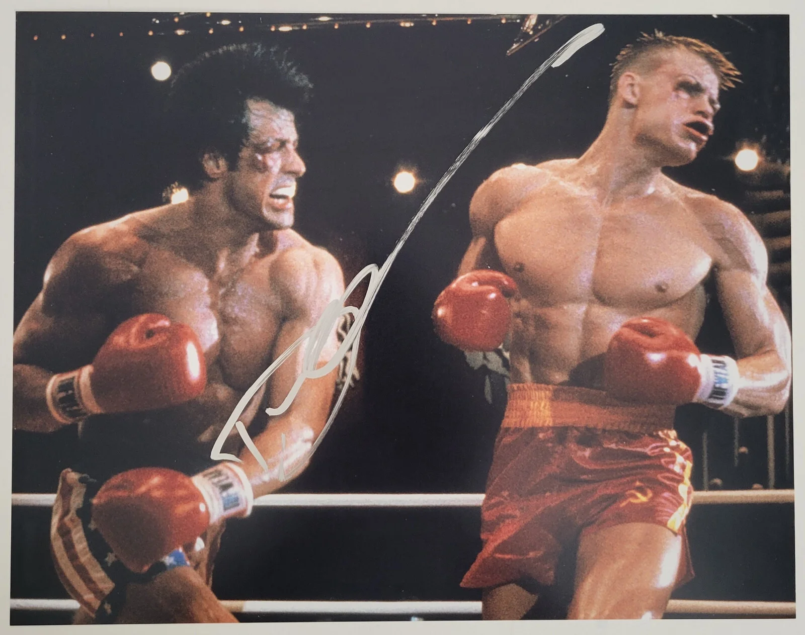 Dolph Lundgren — Dolph Lundgren signed Rocky IV Ivan Drago 11x14 photo COA exact Proof autograph, изображение 2