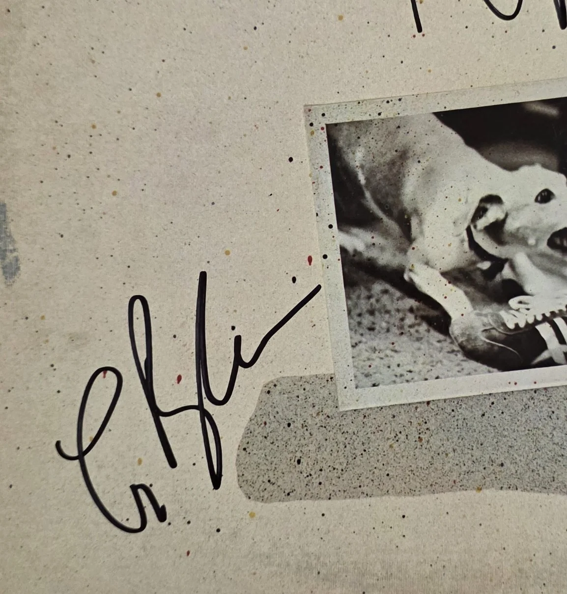 Fleetwood Mac Signed Tusk Album COA Exact Proof Autographed Vinyl Mick & Lindsey, изображение 5
