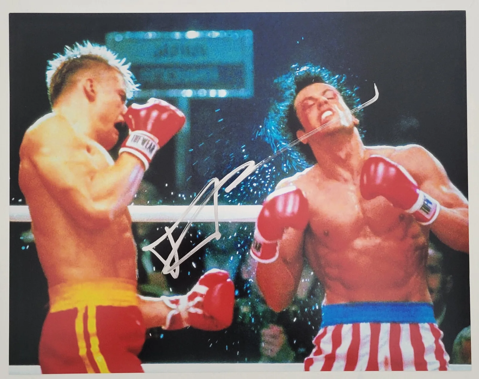Dolph Lundgren — Dolph Lundgren signed Rocky IV Ivan Drago 11x14 photo COA exact Proof autograph., image 2