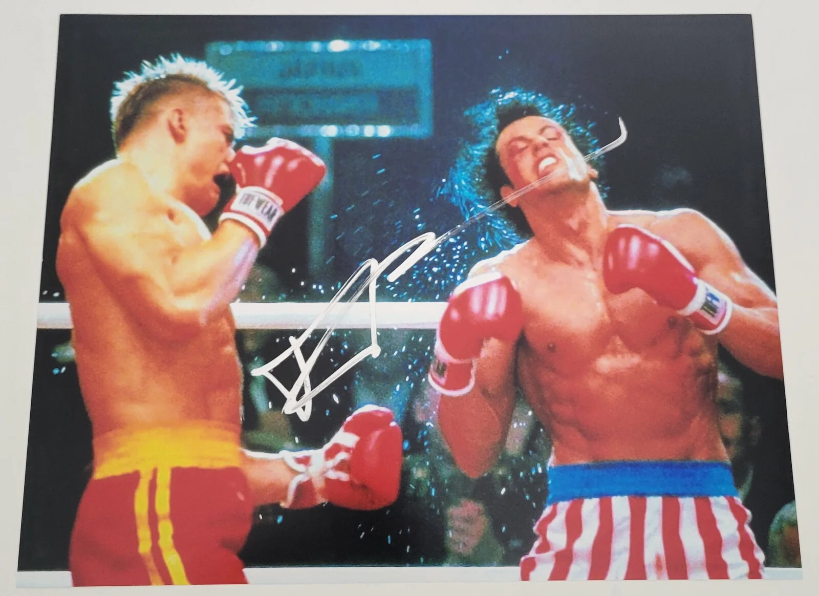 Dolph Lundgren — Dolph Lundgren signed Rocky IV Ivan Drago 11x14 photo COA exact Proof autograph., image 3