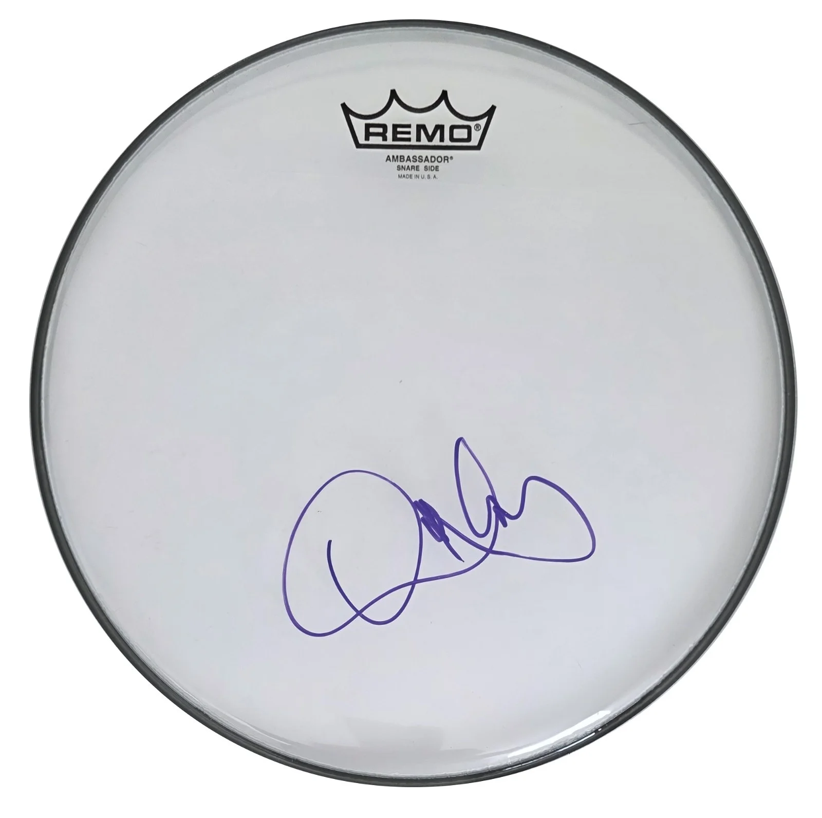 Danny Carey Tool Drummer Signed 12'' Drumhead COA Exact Proof Autographed, image 2