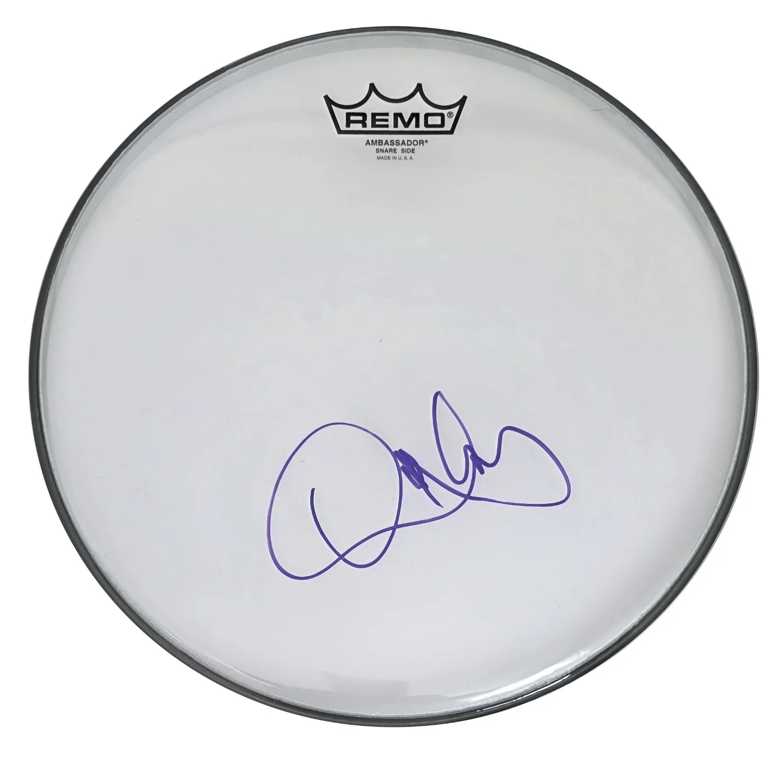 Danny Carey Tool Drummer Signed 12'' Drumhead COA Exact Proof Autographed, image 3