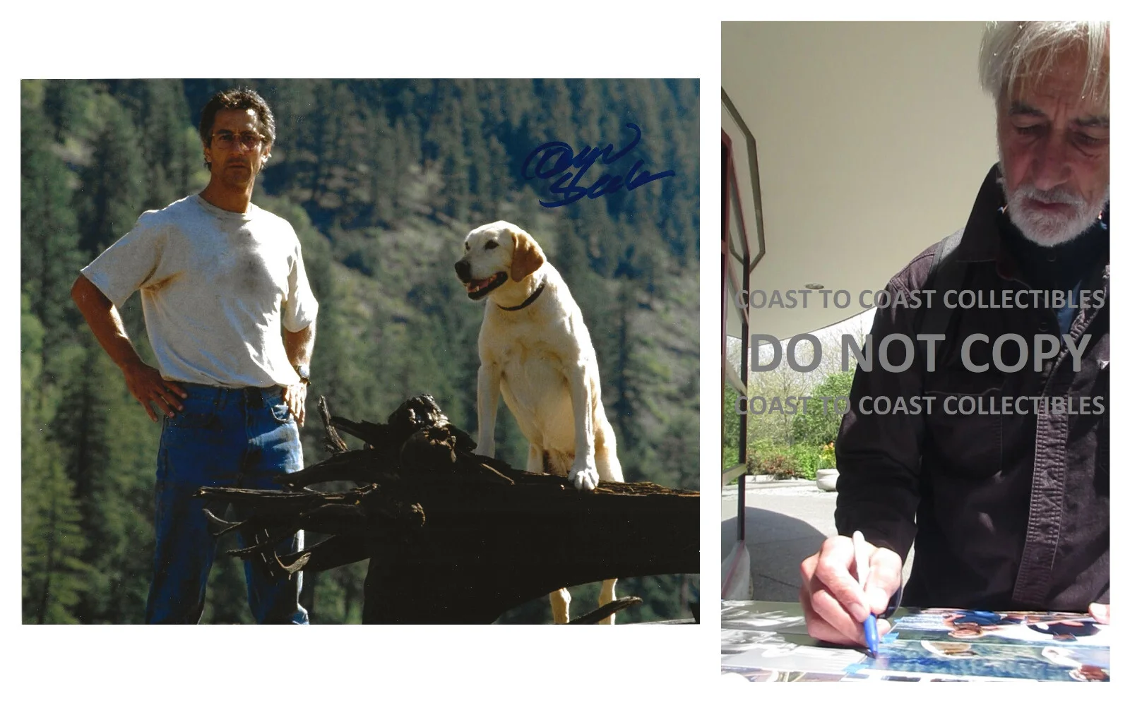 David Strathairn — David Strathairn signed The River Wild 8x10 photo COA exact proof autographed