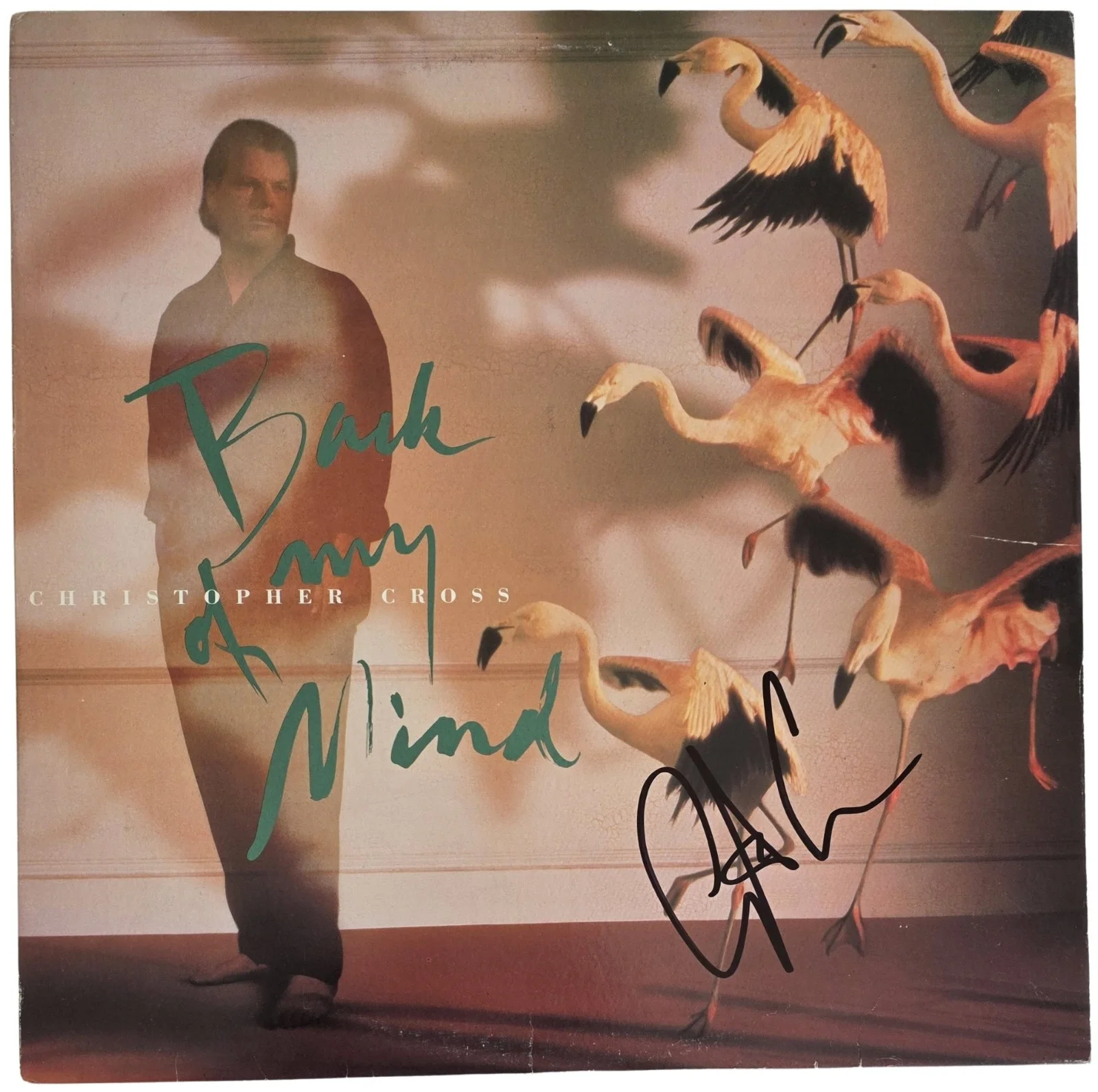 Christopher Cross Signed Back of My Mind Album COA Exact Proof Autographed Vinyl, изображение 3