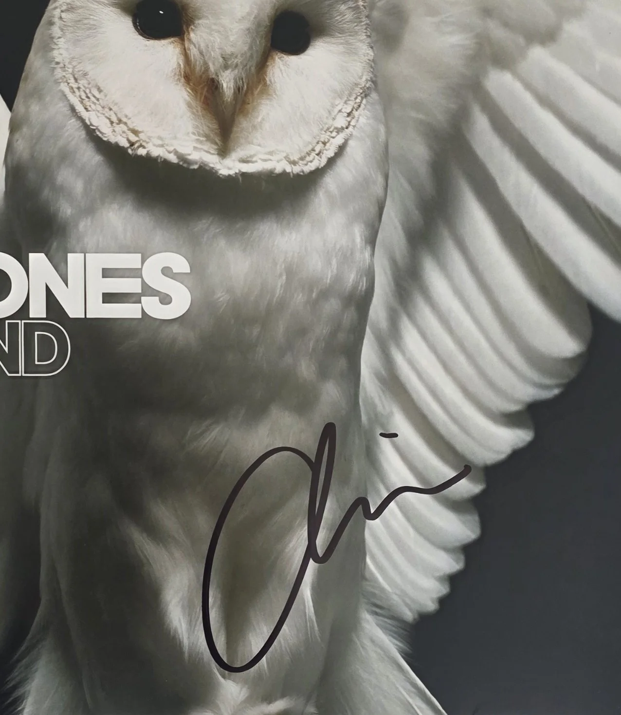 Chino Moreno Signed Deftones Diamond Eyes Album Proof Autographed Vinyl Record, image 4