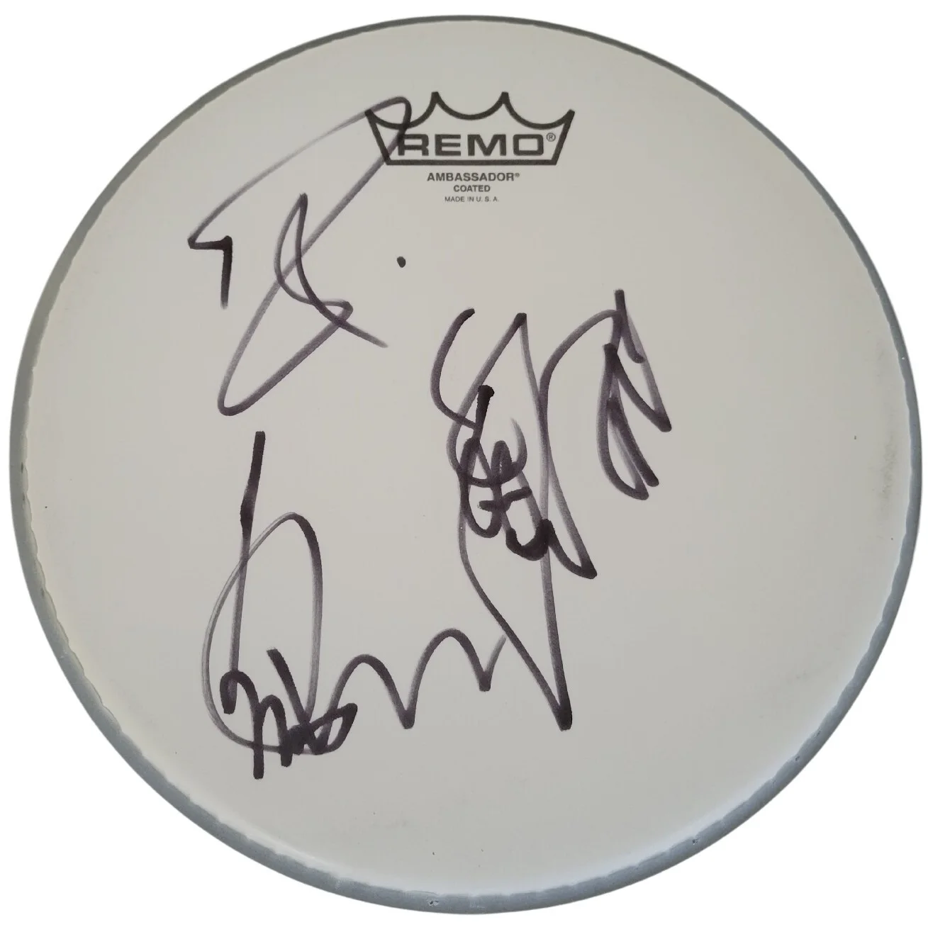 Cheap Trick band signed 10'' Drumhead COA exact proof Robin , Rick,Tom autograph, image 2