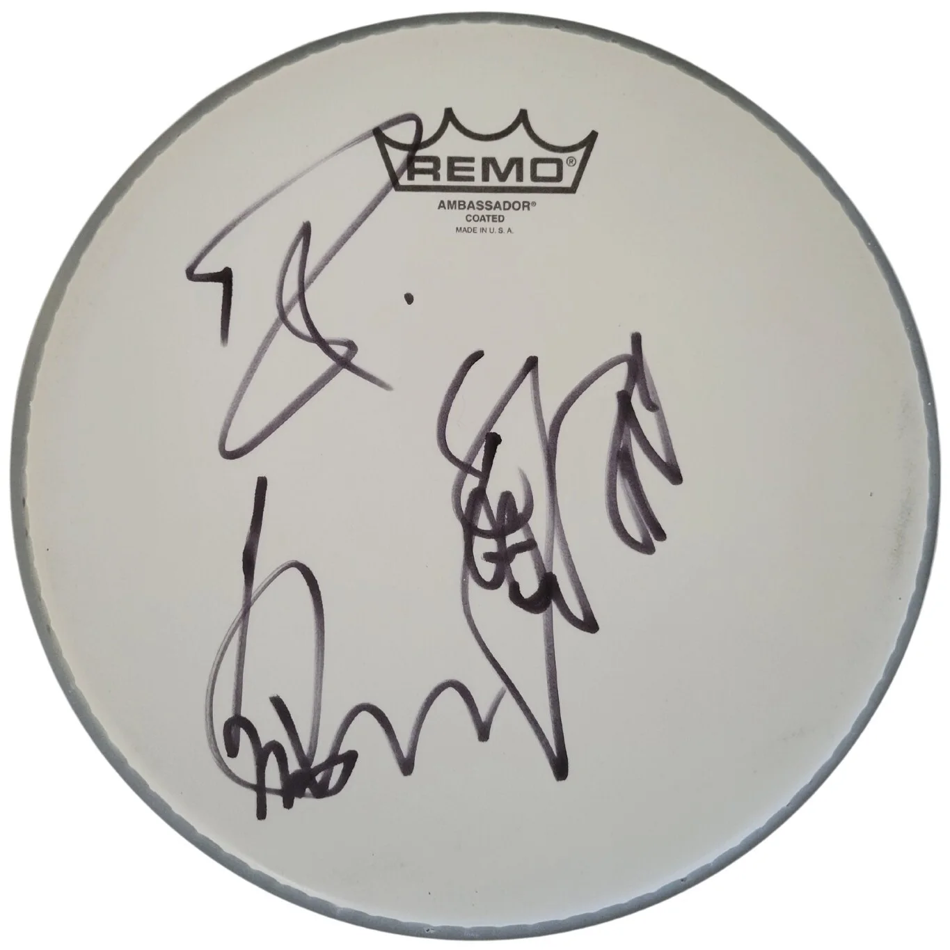 Cheap Trick band signed 10'' Drumhead COA exact proof Robin , Rick,Tom autograph, image 3