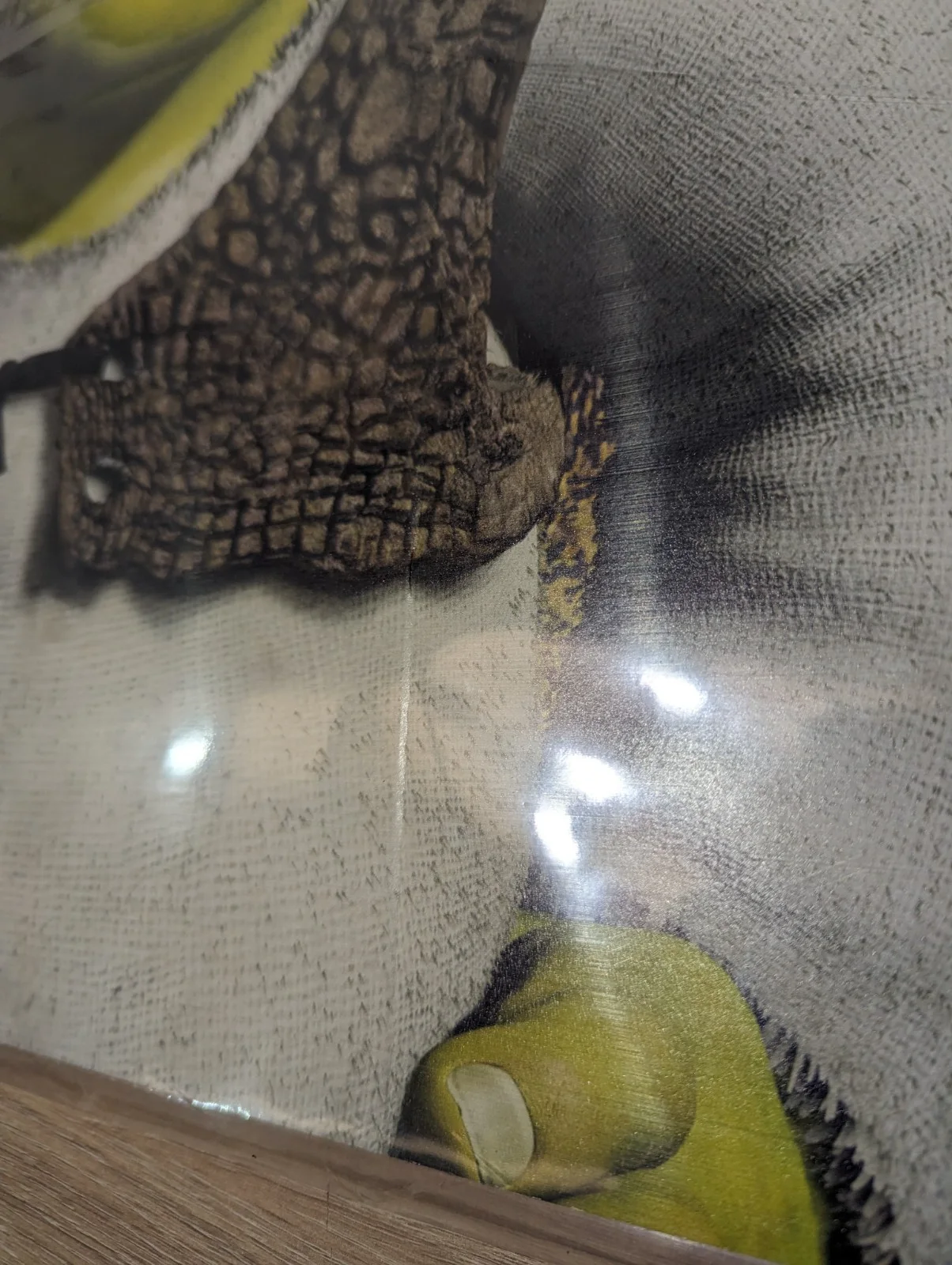 Shrek Themed Cardboard Cutout Collection of 3 Standees *Damaged*, image 5