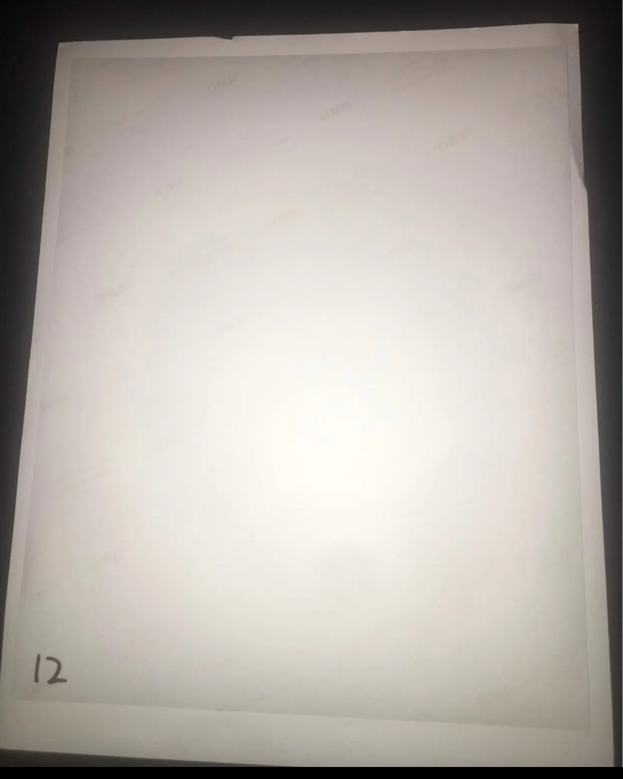 Kimiko Glenn — Spider-Man Into The Spider-Verse Personal Autograph By Kimiko Glenn, image 2